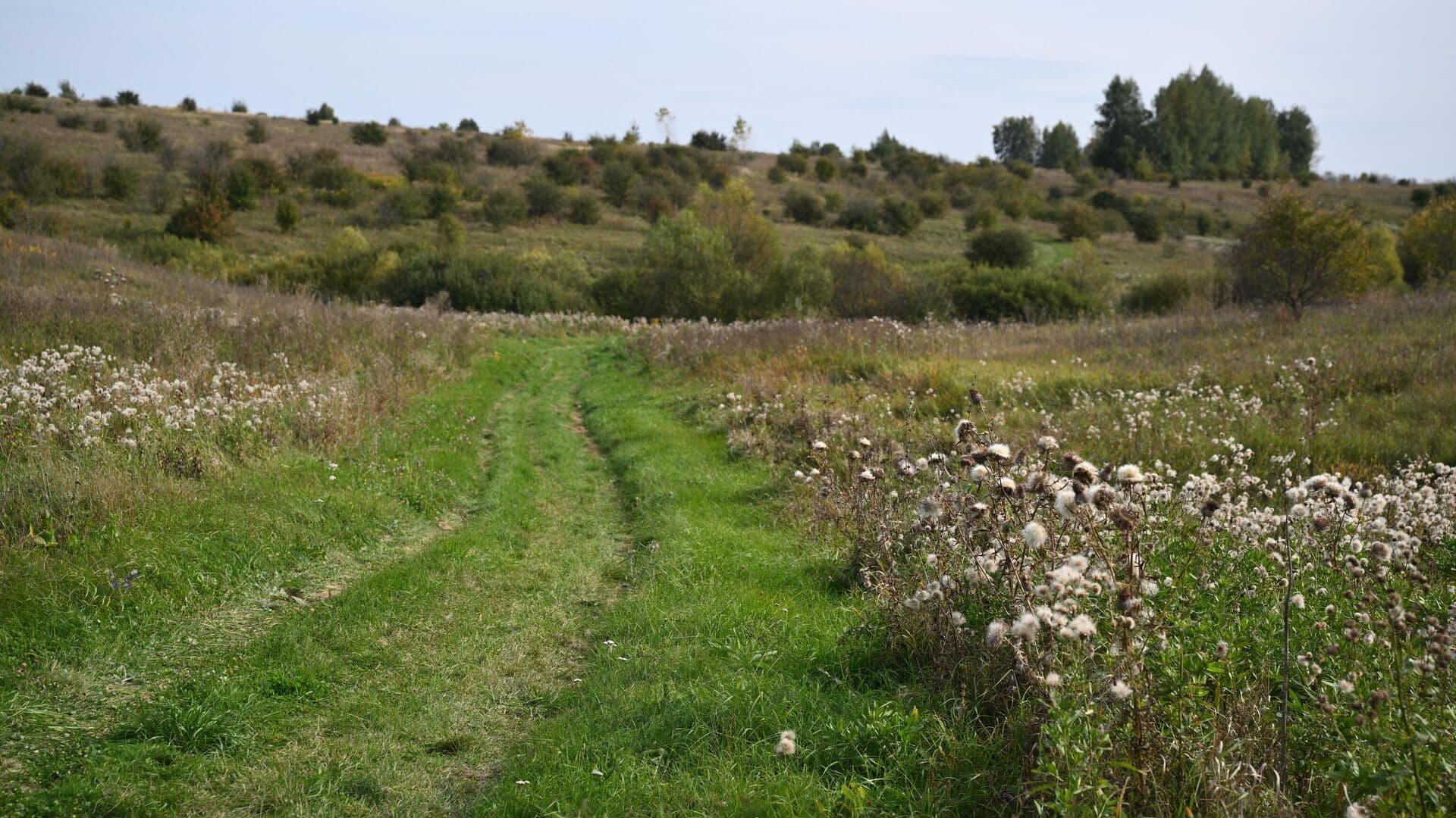 Более тысячи "народных троп" благоустроят в Подмосковье в 2026 году