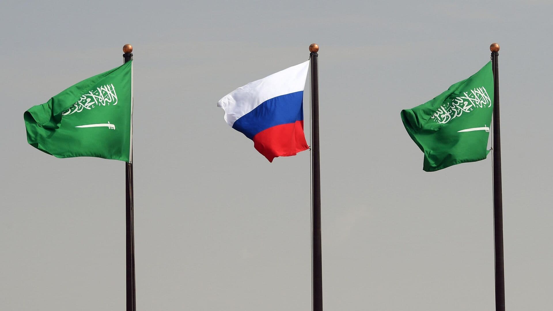 В Госдуме рассказали о турпотоке между Россией и Саудовской Аравией