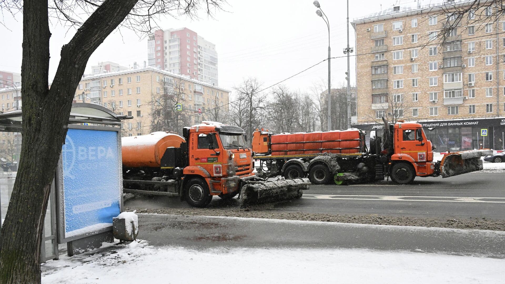 В России с 1 марта появятся новые требования к рекламным вывескам