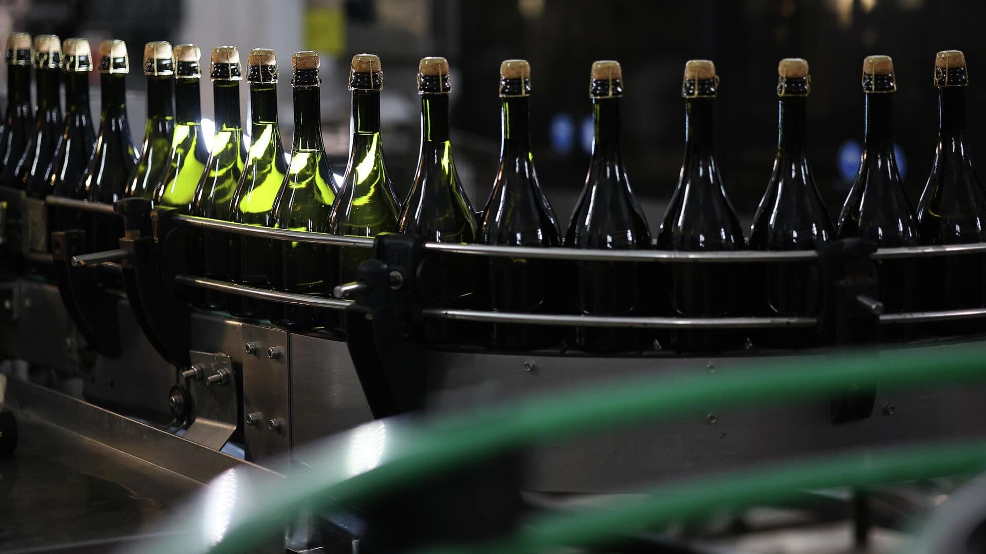 Владелец "Абрау-Дюрсо" рассказал о планах по выпуску вина на 2026 год