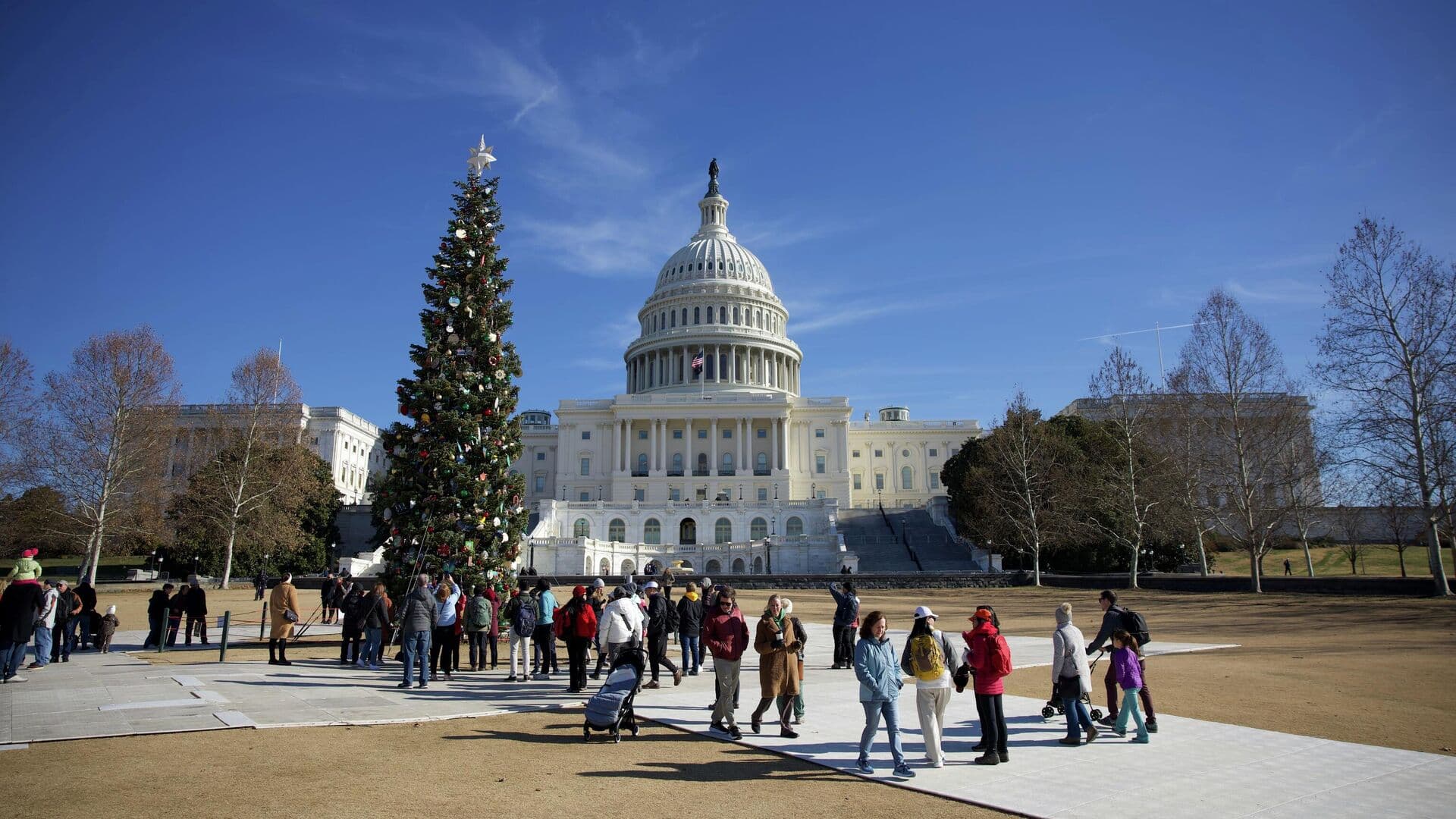 "Ключевая роль": в США рассказали о панике из-за российского самолета