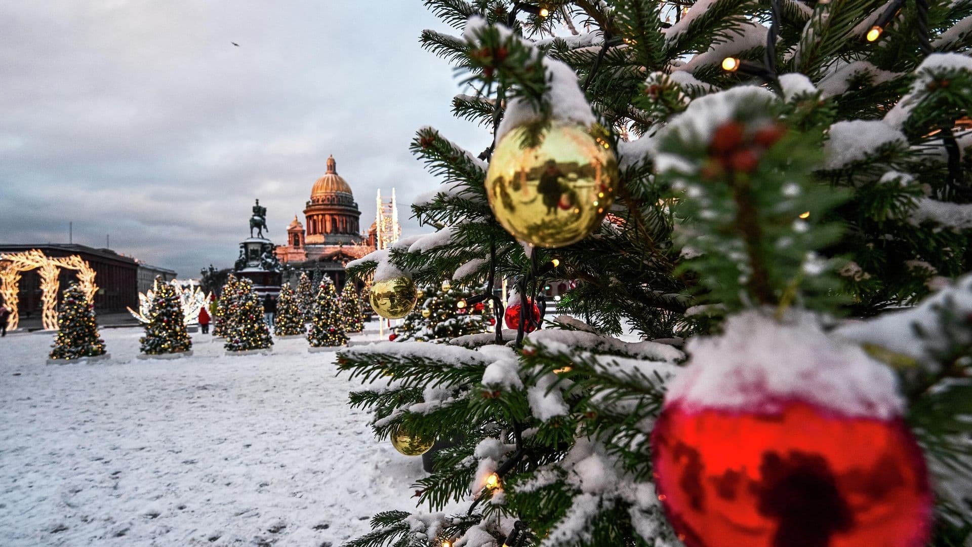 В Совфеде рассказали о трехдневной рабочей неделе в 2026 году