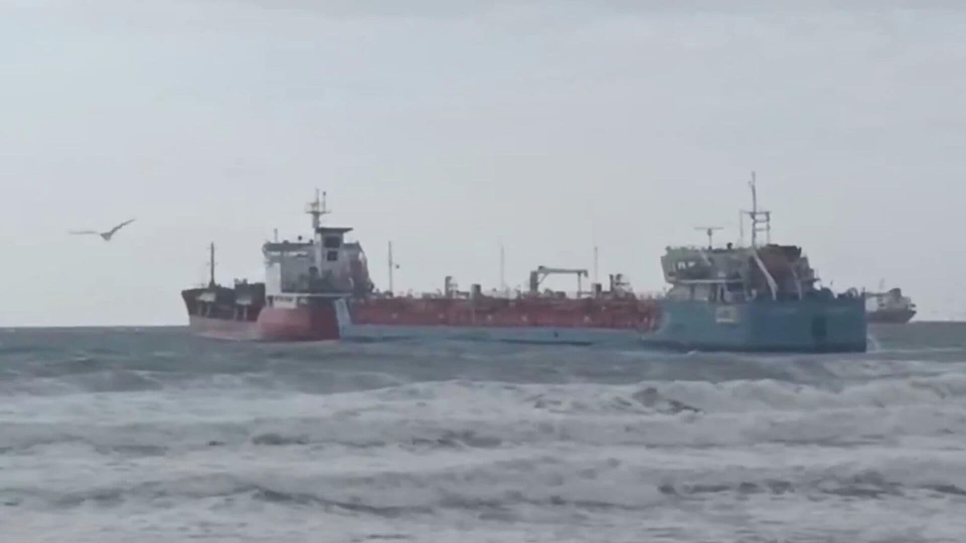 Минприроды Кубани оценило ущерб окружающей среде после ЧП с танкерами