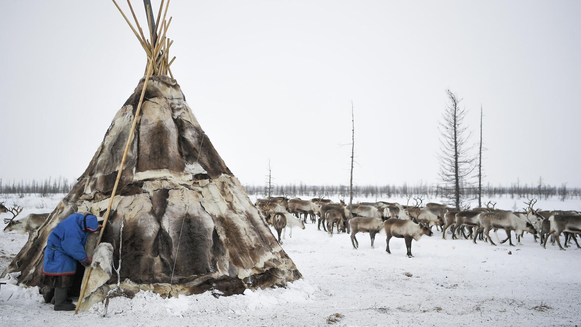 В России могут изменить процедуру присвоения статуса малочисленных народов
