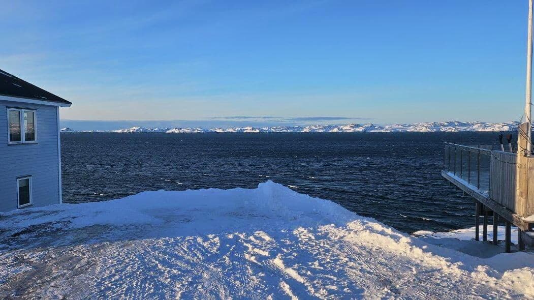 Трамп снова заявил о необходимости для США обладать Гренландией