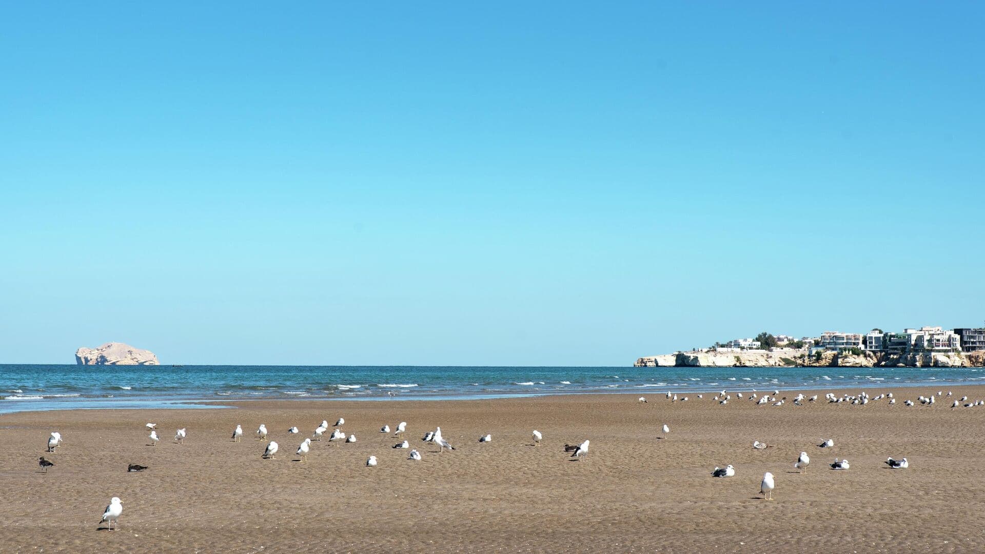 В Оманском заливе рядом с Ормузским проливом повреждены два судна