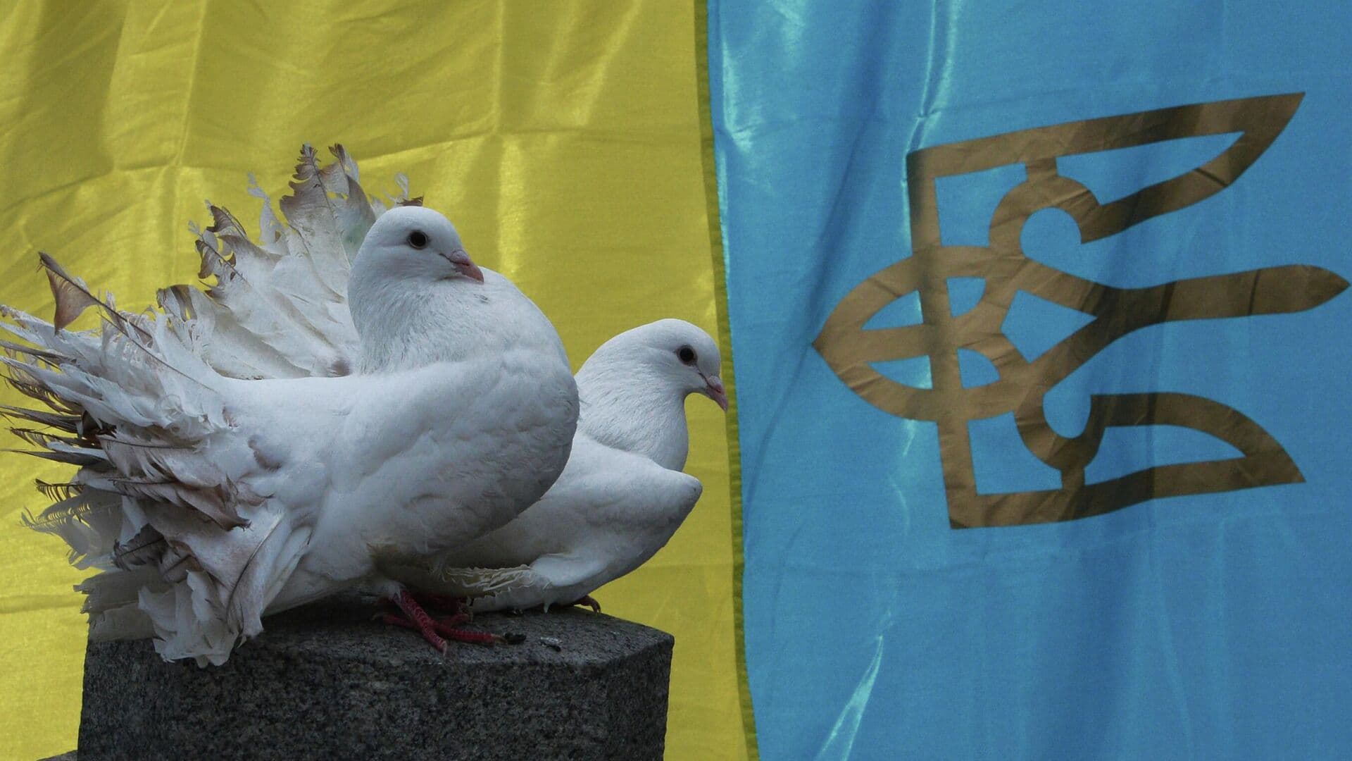 "Ничего не получите". На Западе сделали резкое заявление об Украине