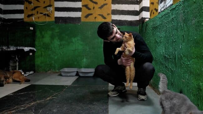 Ветеран СВО открыл приют для бездомных животных