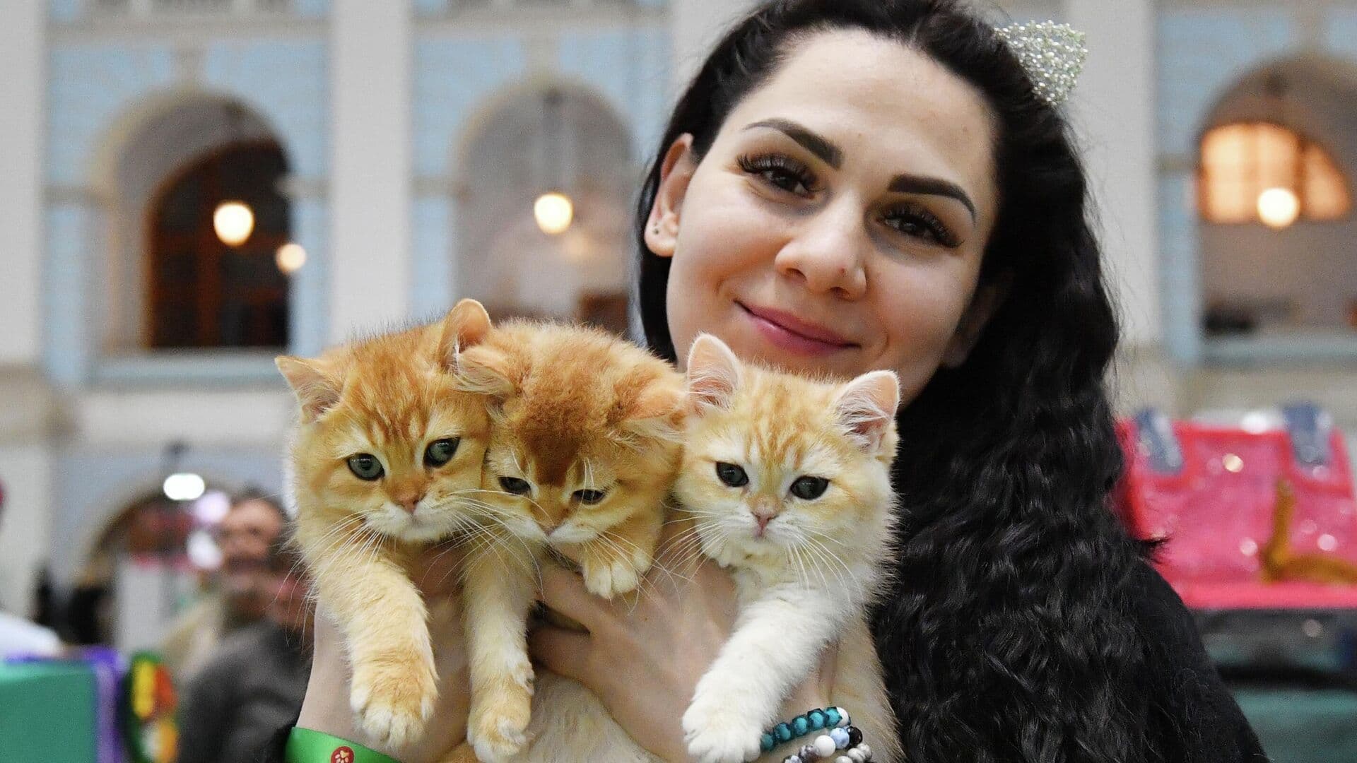 В Госдуму внесли проект о создании единого реестра домашних животных