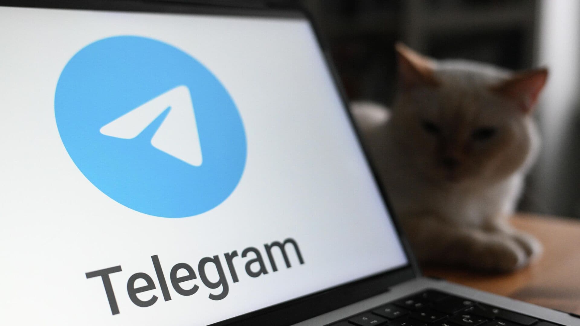 ФАС назвала размещение рекламы в Telegram незаконным