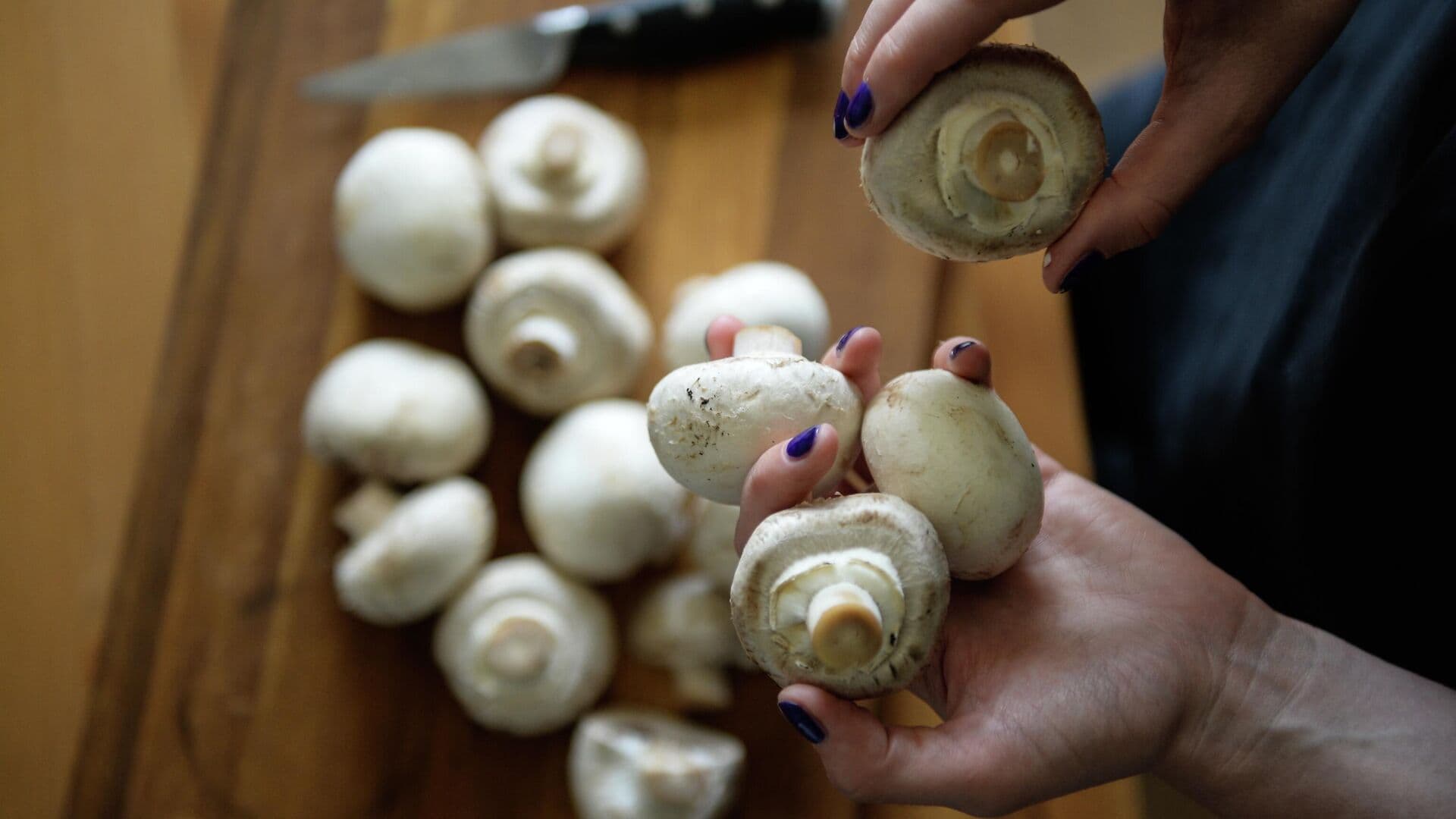 Первые грибы могут появиться в России уже в апреле