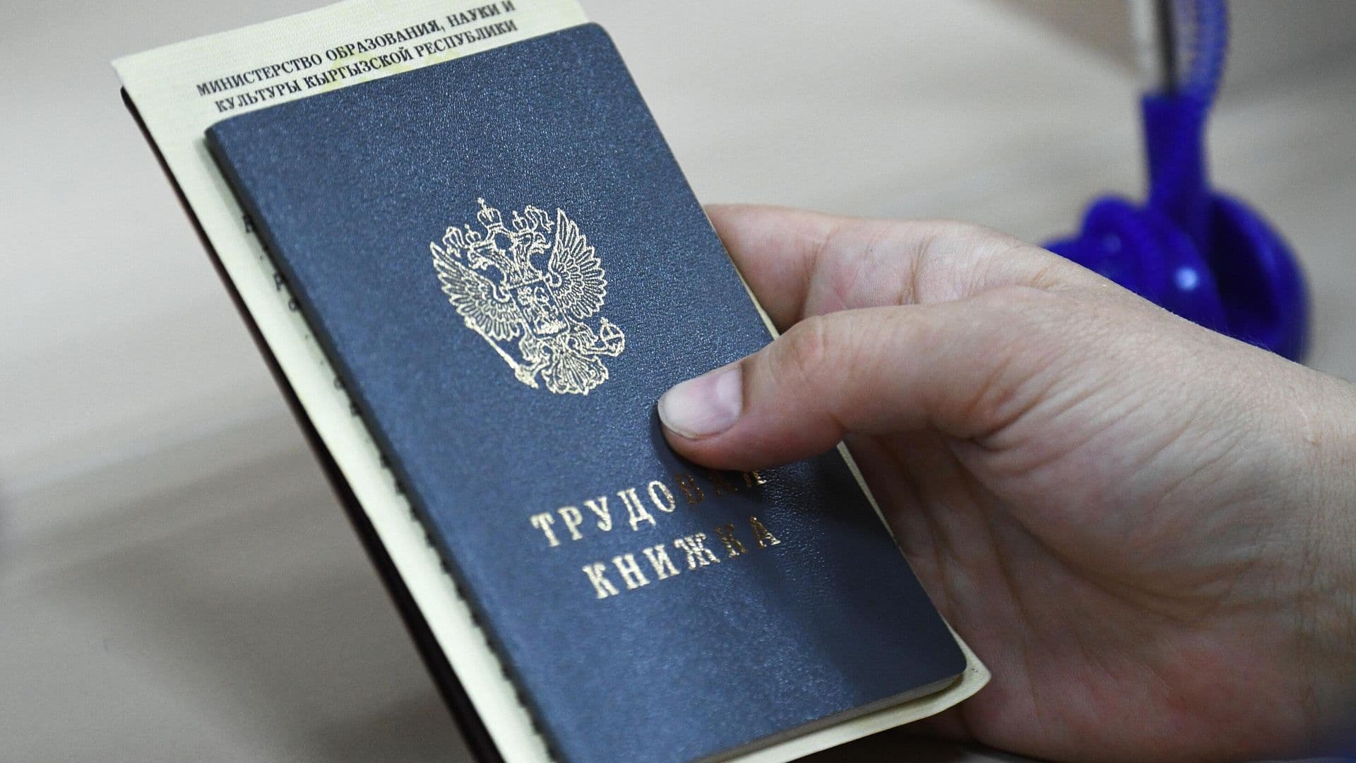 В России с 1 сентября изменили правила отзыва сотрудников из отпуска