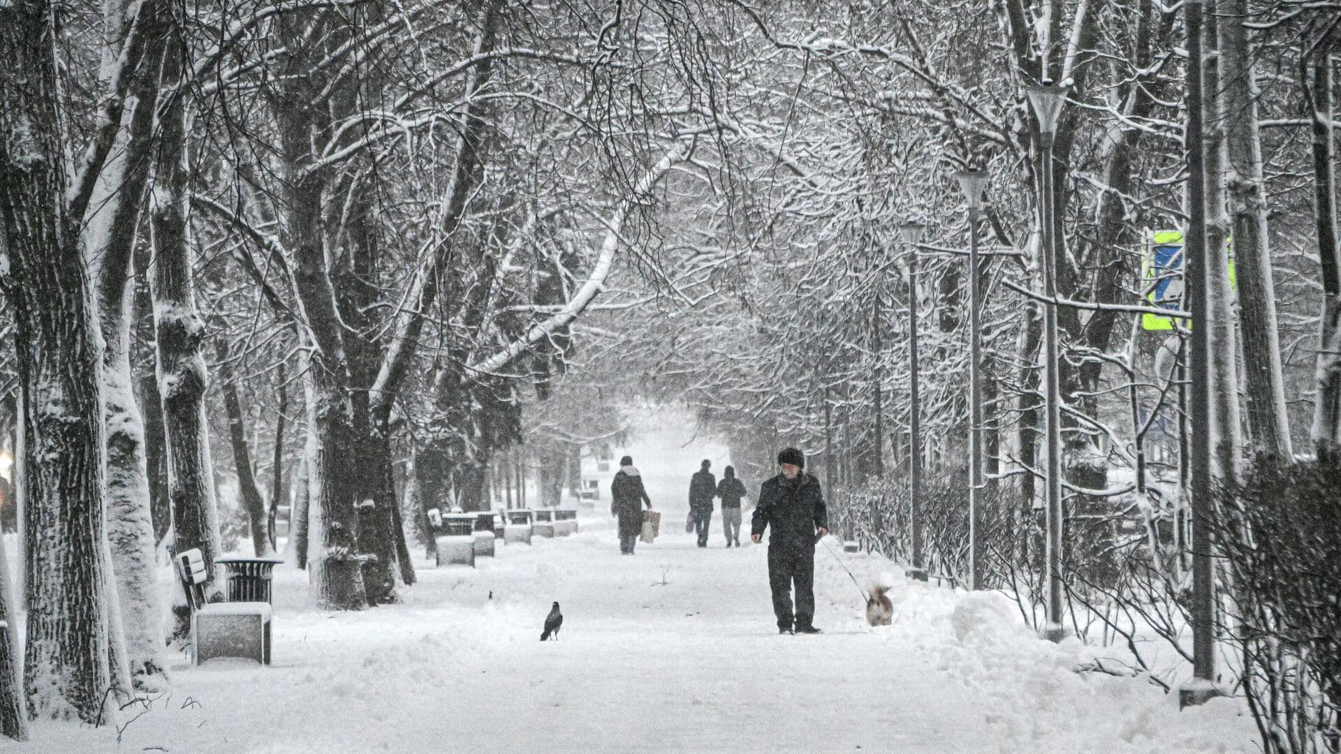 Синоптик рассказал, когда снегопад в Москве достигнет пика