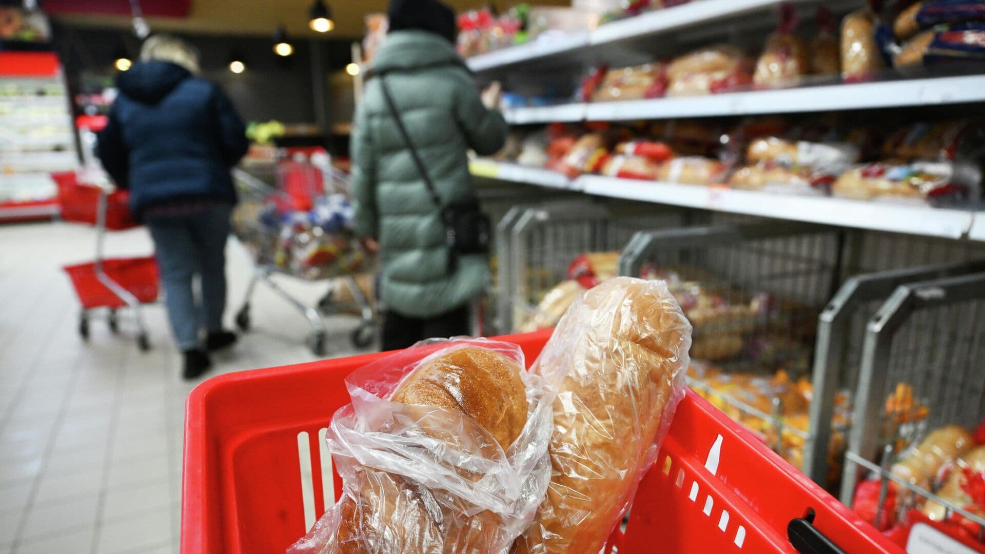 Экономист рассказала, как новый ГОСТ повлияет на стоимость хлеба в России