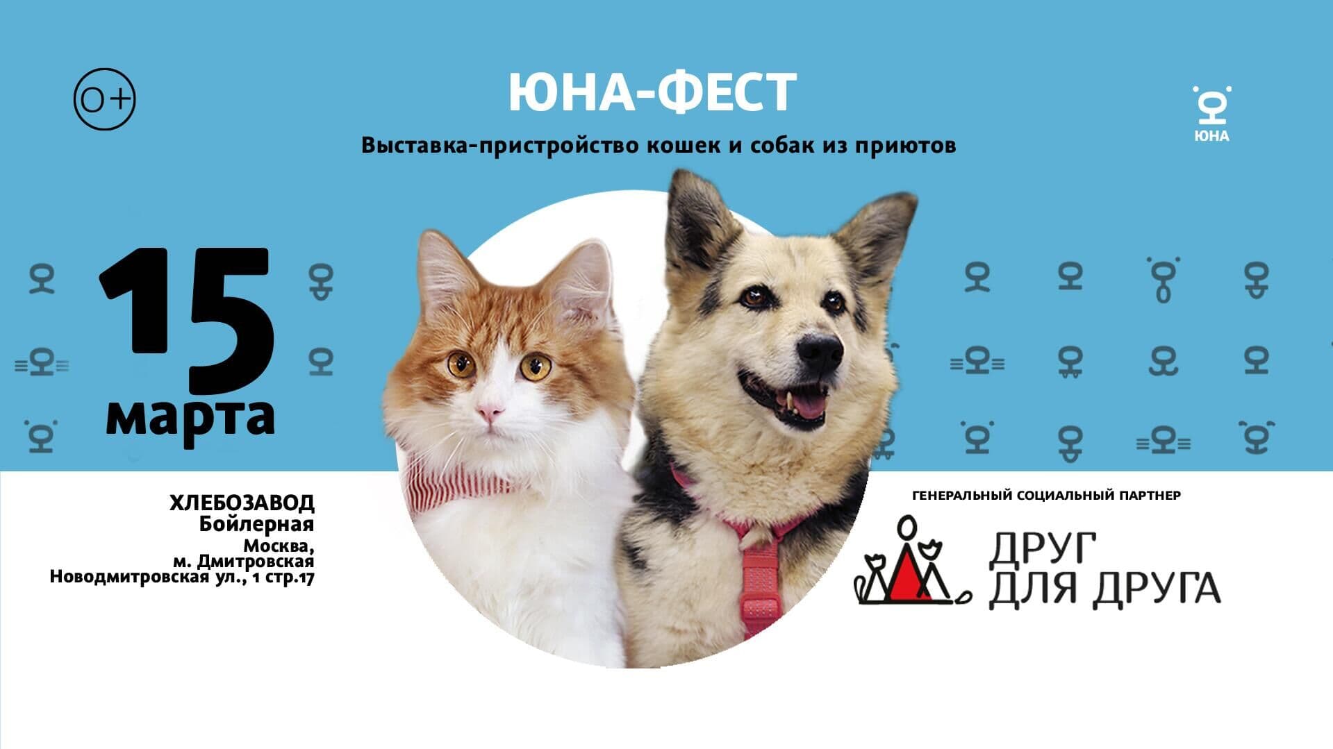 В Москве пройдет выставка-пристройство животных из приюта "Юна-фест"