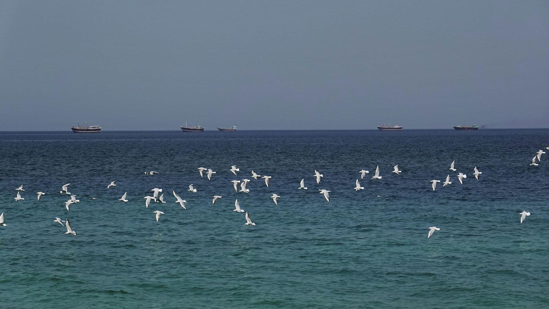 "Это шок". В Британии забили тревогу из-за последствий ударов по Ирану