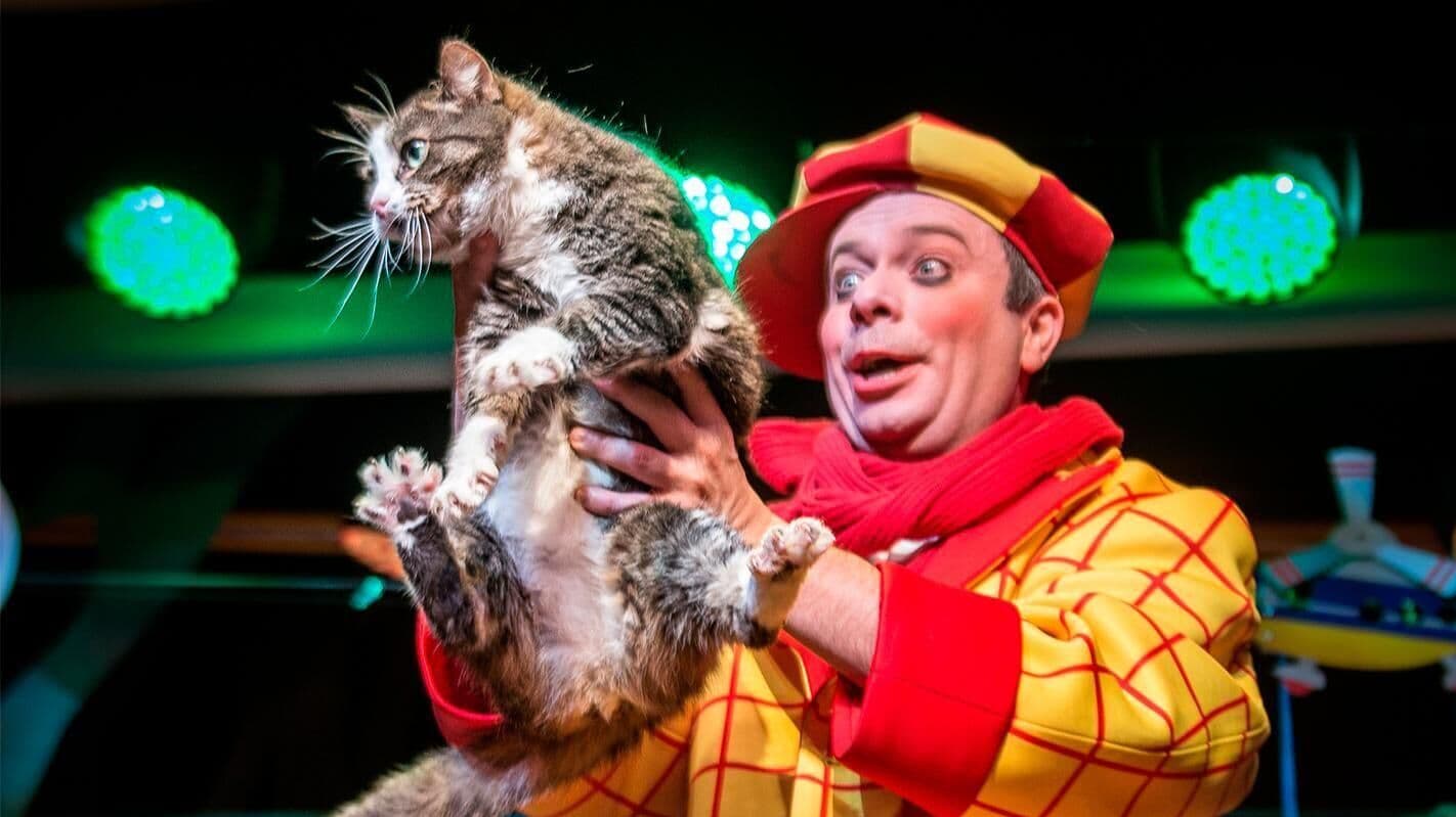 Спасенные в зоне СВО фронтовые кошки стали артистами театра Куклачева
