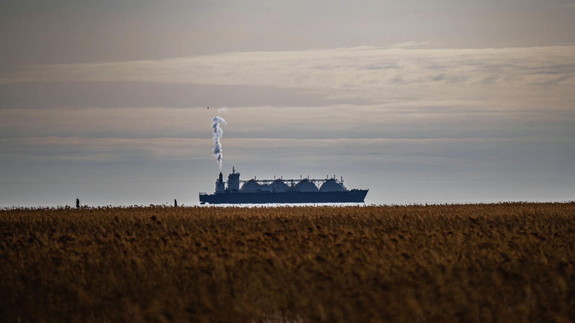 Эксперт назвал провокацией планы закрыть Ла-Манш для судов под санкциями
