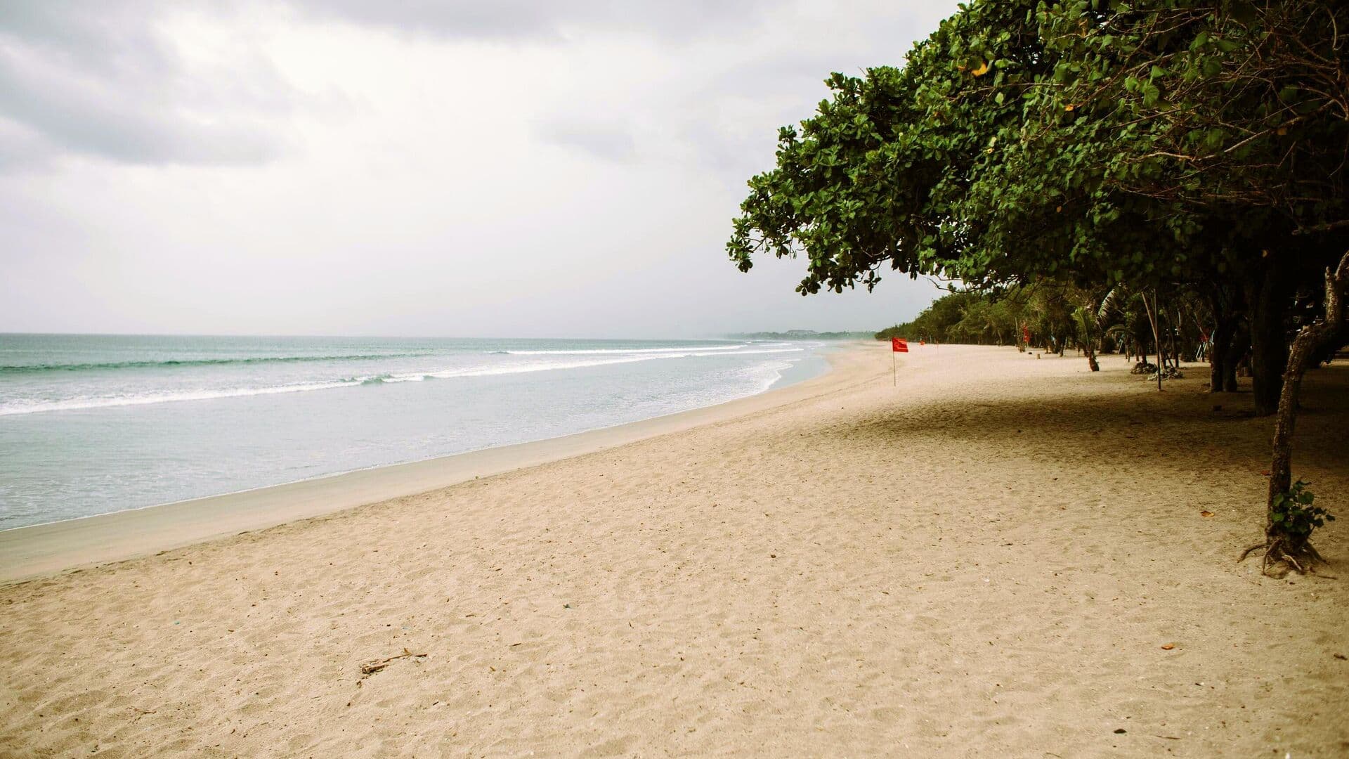 Россиянка на Бали покрылась сыпью после контакта с гусеницей