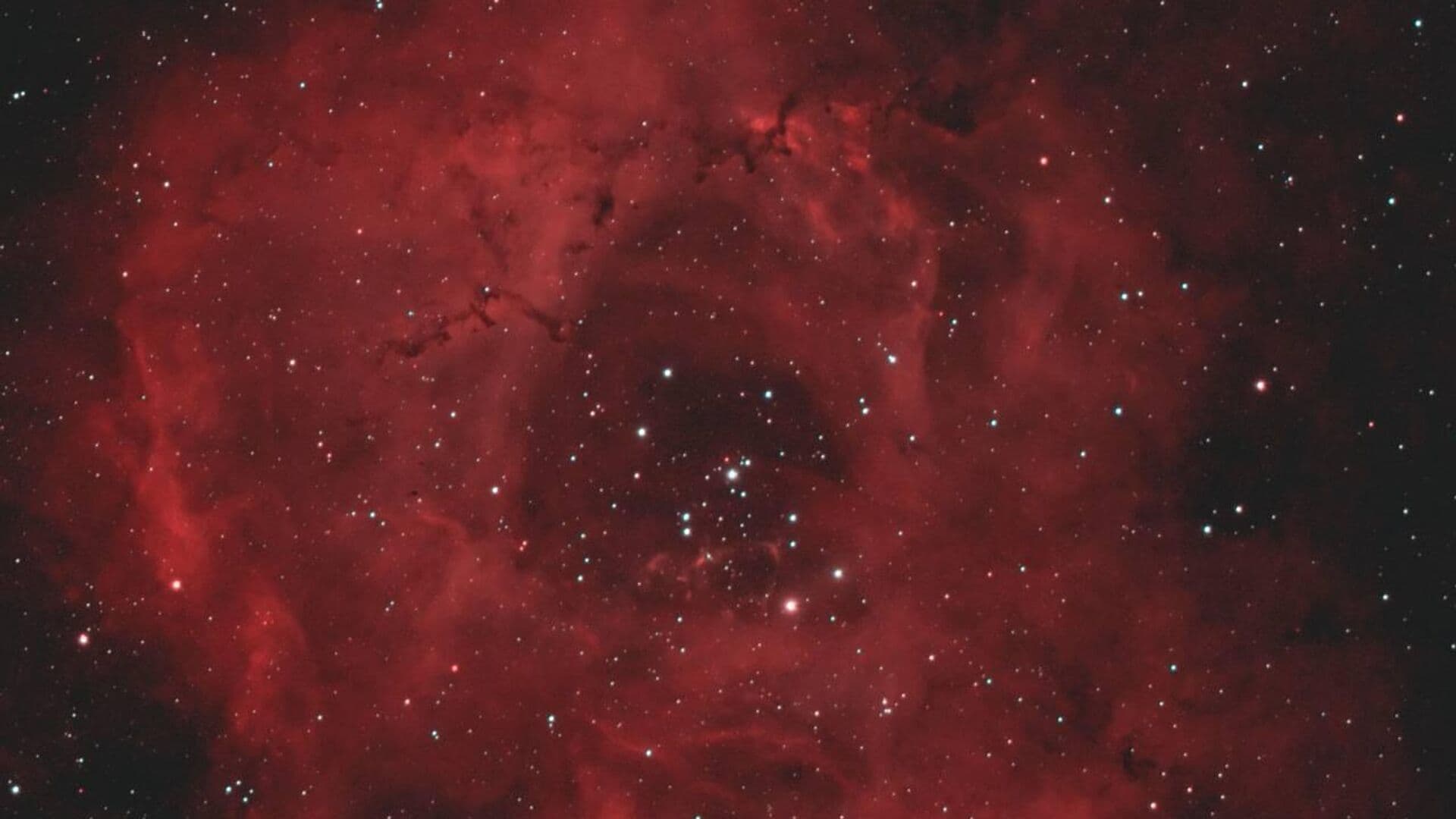 "Роскосмос" показал космические туманности, похожие на цветы