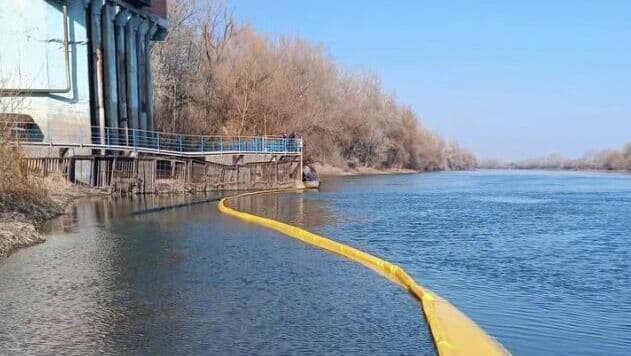 В Молдавии ввели режим экологической тревоги из-за загрязнения Днестра