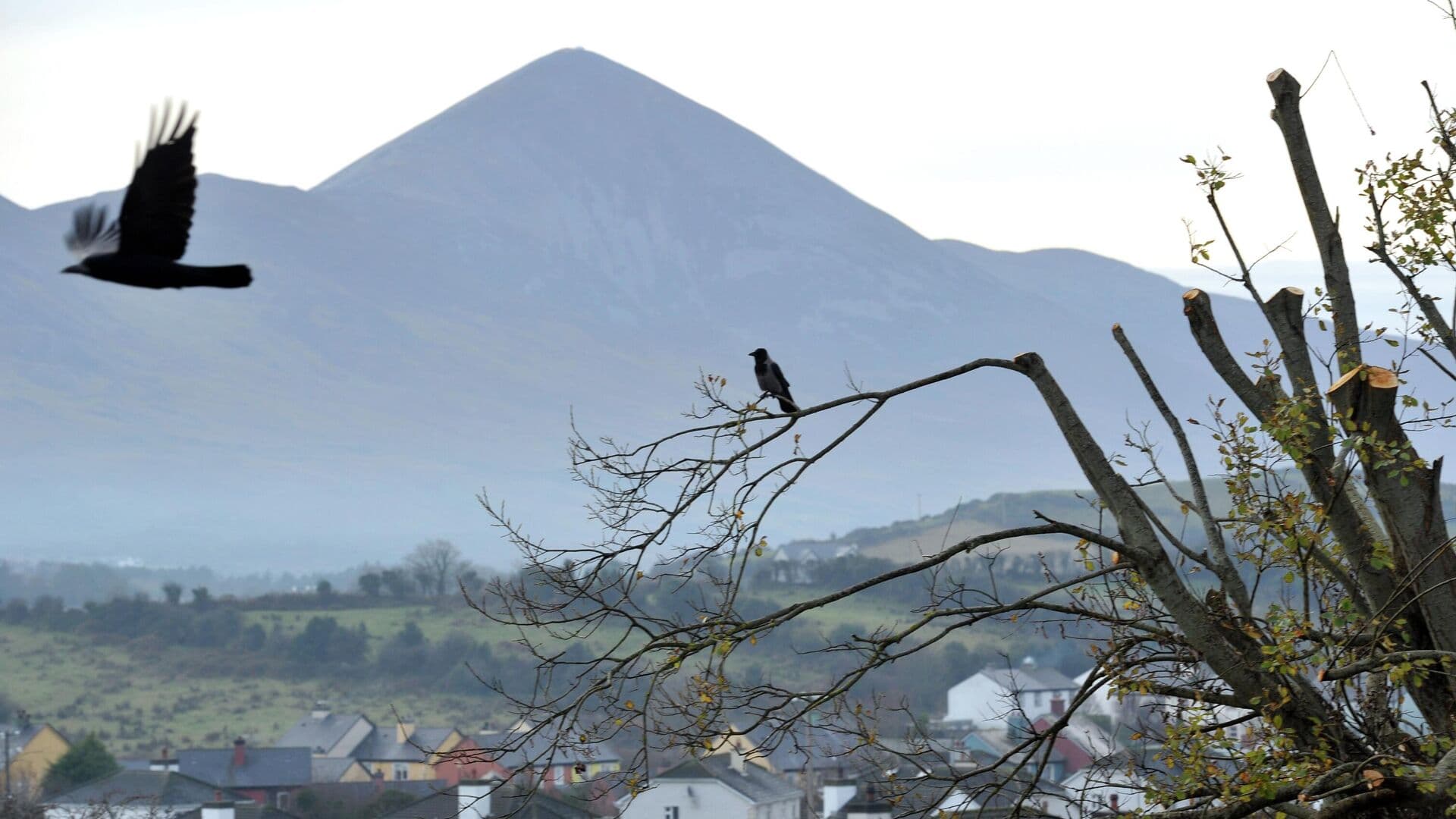 В РПЦ рассказали о дне Святого Патрика в Британии и Ирландии