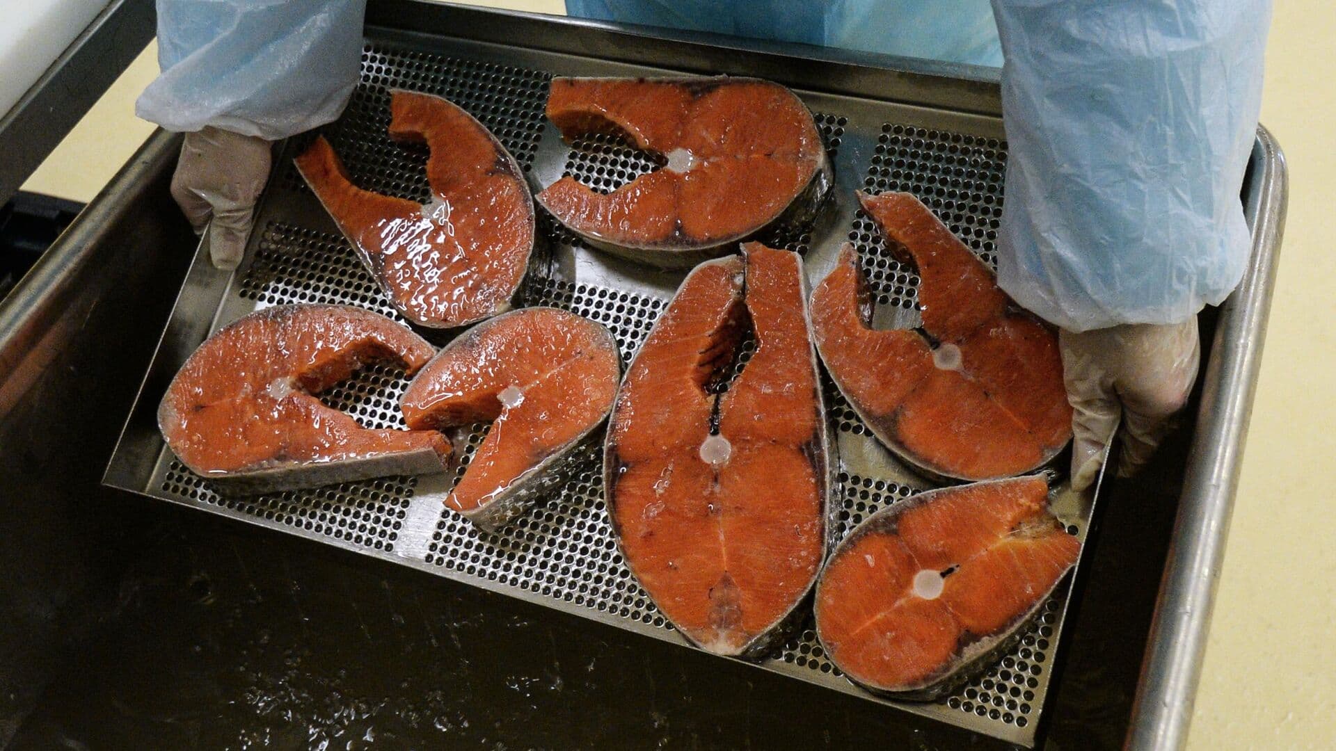 "Эксар" поддержал рыбзавод из Калининграда