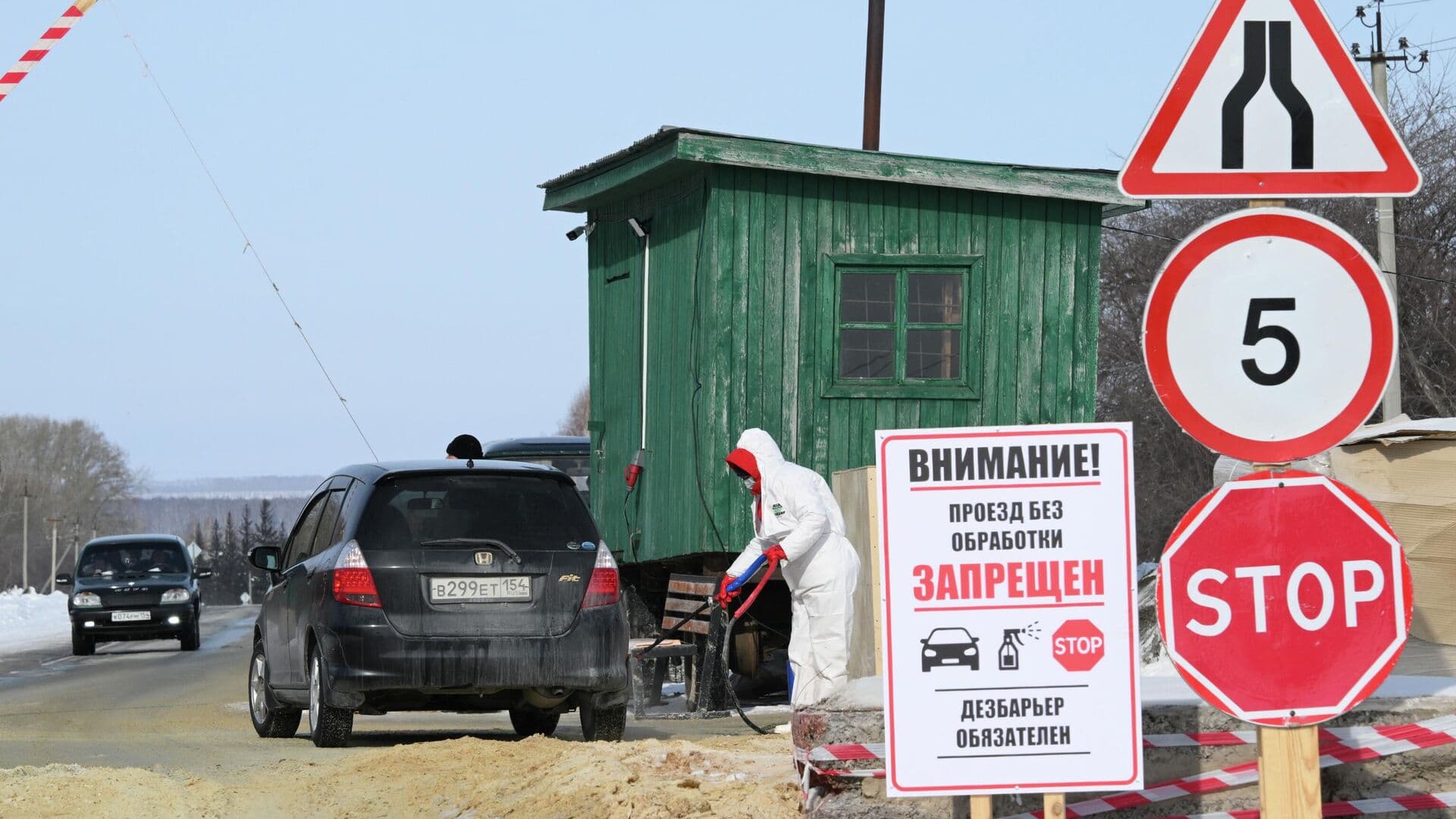 В Новосибирской области назвали причину вспышки пастереллеза
