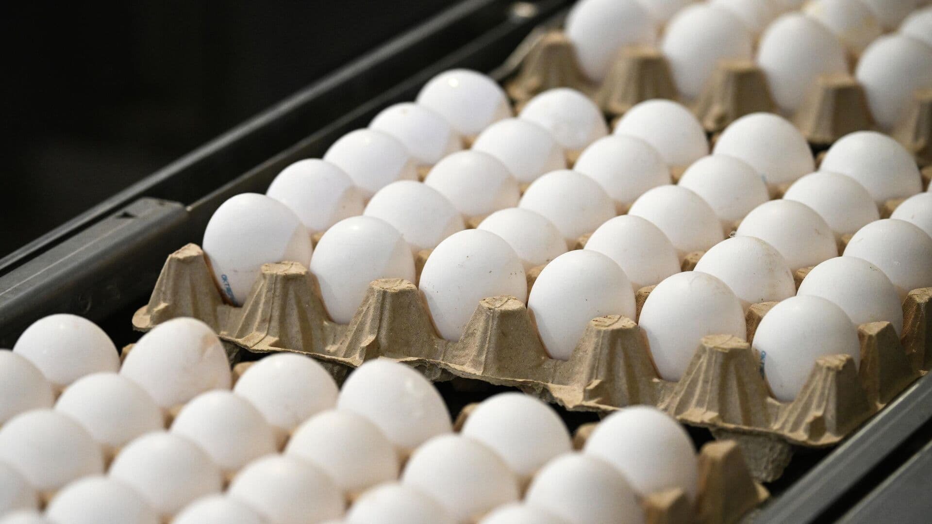 СМИ сообщили о следах антибиотиков в яйцах с Украины