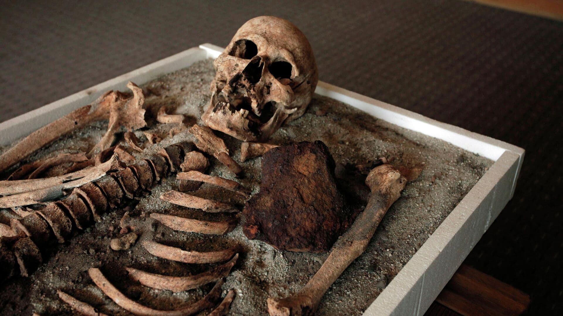 "Такого еще не видели". Ученые выяснили жуткие подробности древнего ритуала