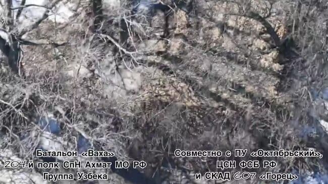 Кадыров показал кадры уничтожения британской техники в зоне СВО