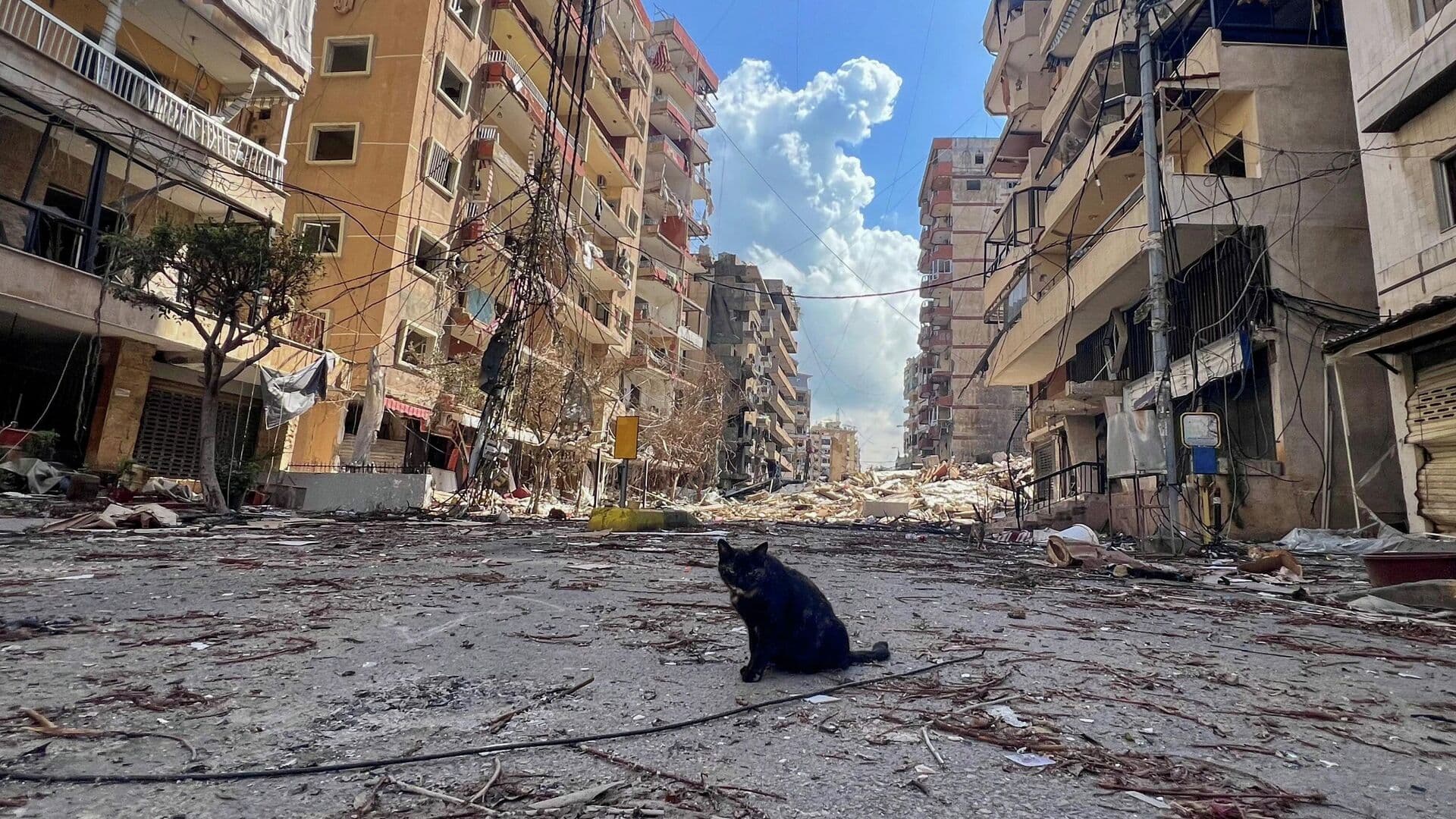 Бейрут запросил международную гуманитарную помощь на фоне ударов Израиля