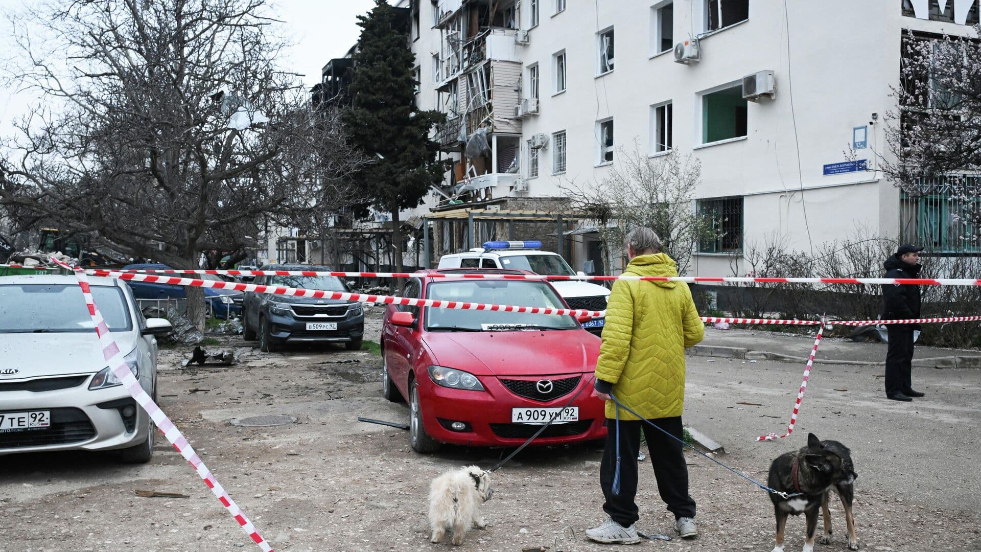 Спасатель вытащил кота из дома, поврежденного от взрыва в Севастополе