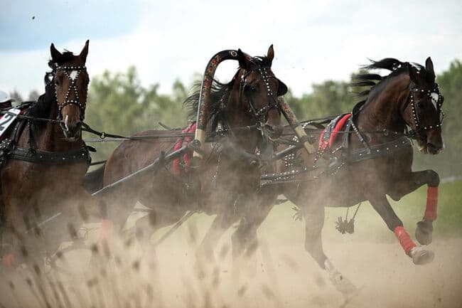 Пришло время любить — и русскую культуру, и русскую тройку