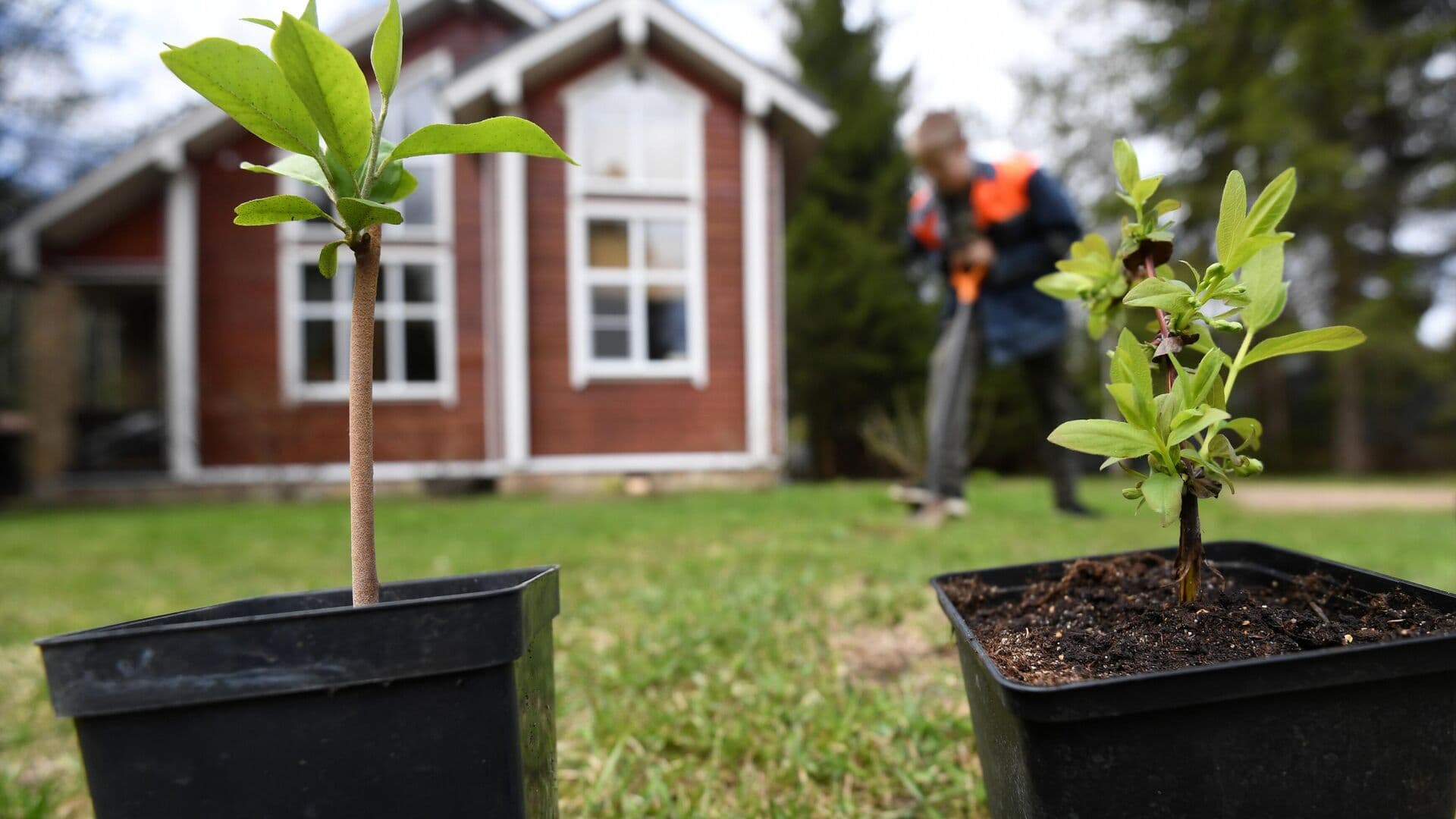 Дачников предупредили о штрафах за нарушение правил сжигания мусора