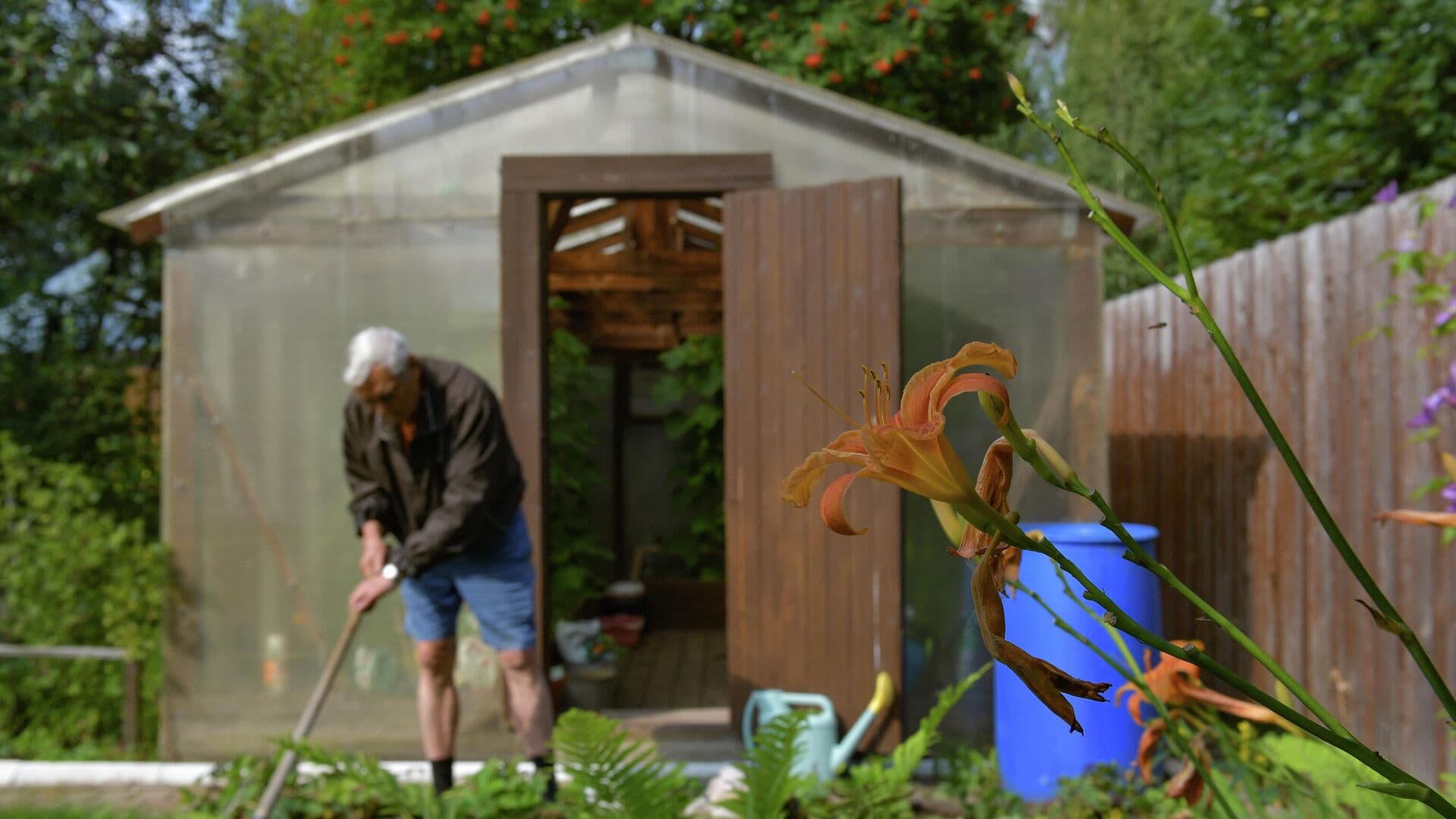 Опрос показал, как россияне планируют провести майские праздники