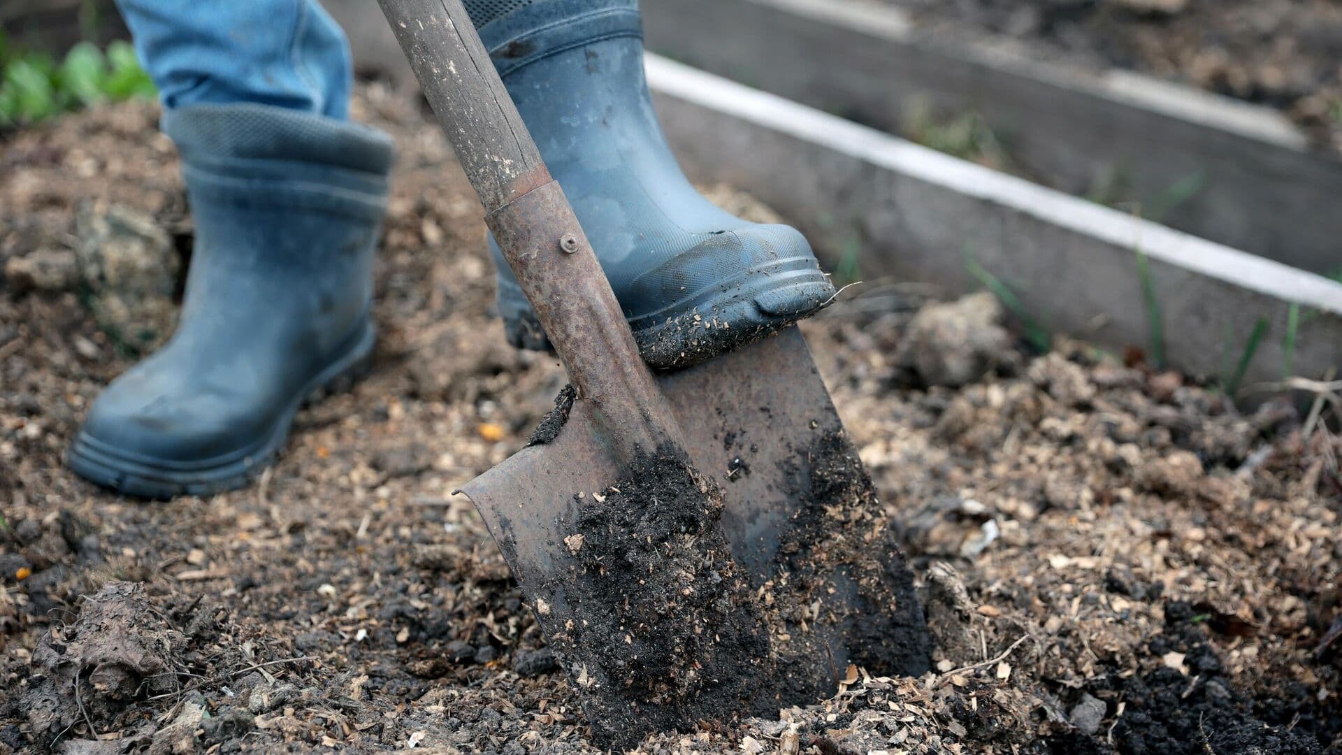 Россиян предупредили об уголовной ответственности за один вид кактусов