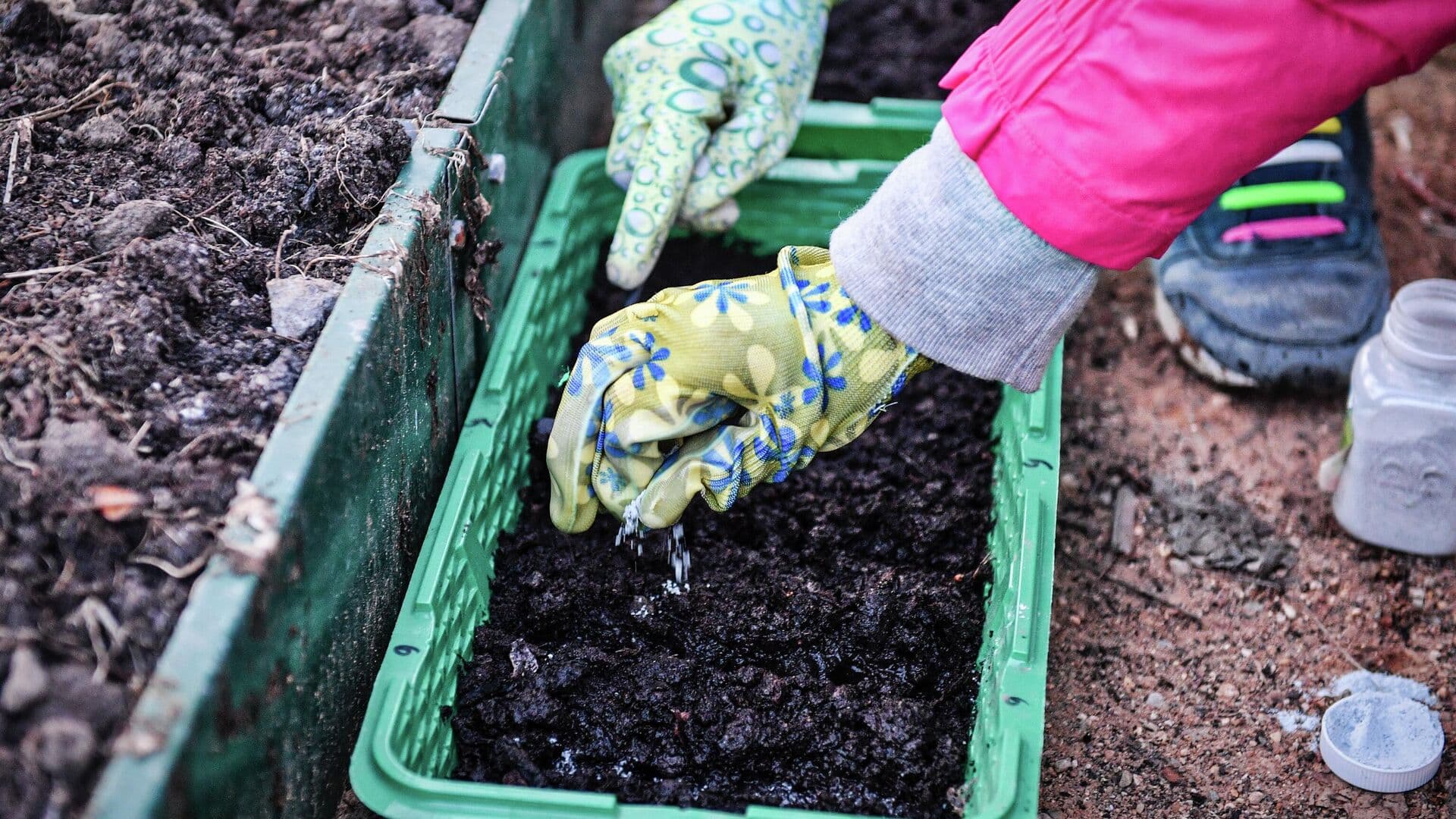 Биолог рассказала, какая рассада может не пережить холода