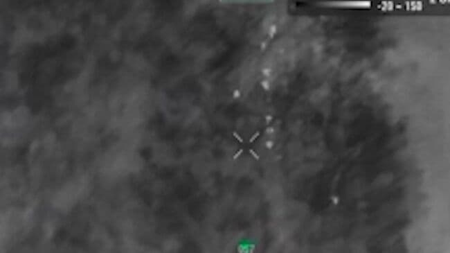 Минобороны показало уничтожение колонны ВСУ на Добропольском направлении