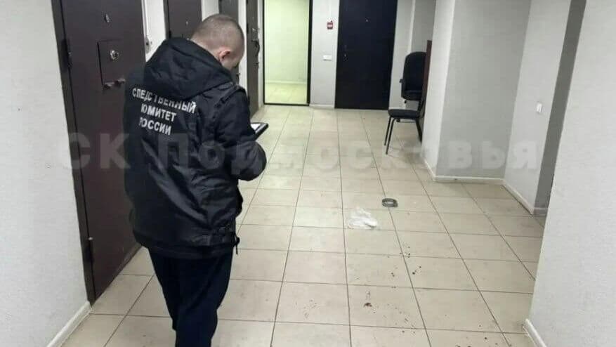 В Подмосковье возбудили дело после нападения на двух сотрудников МВД в суде