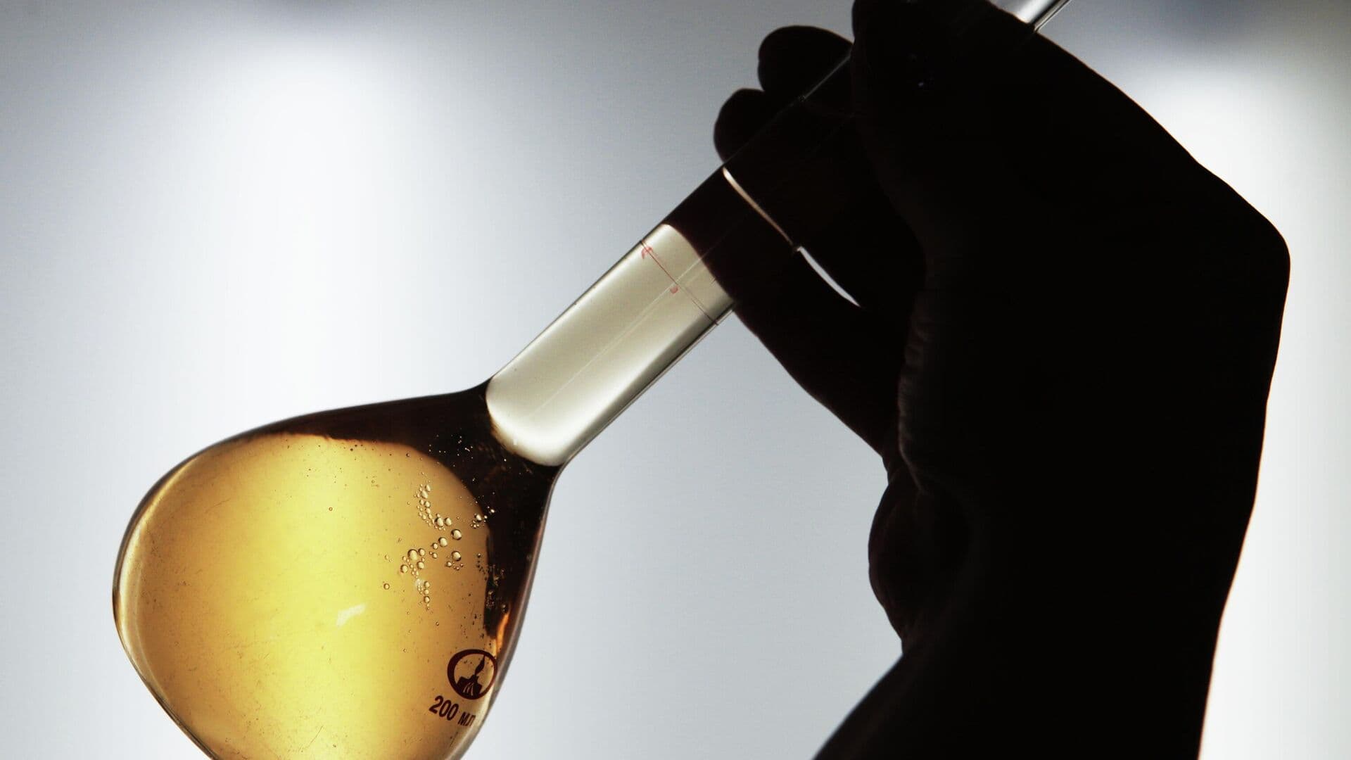 РЭЦ оценил значимость развития экспортного потенциала химотрасли в России