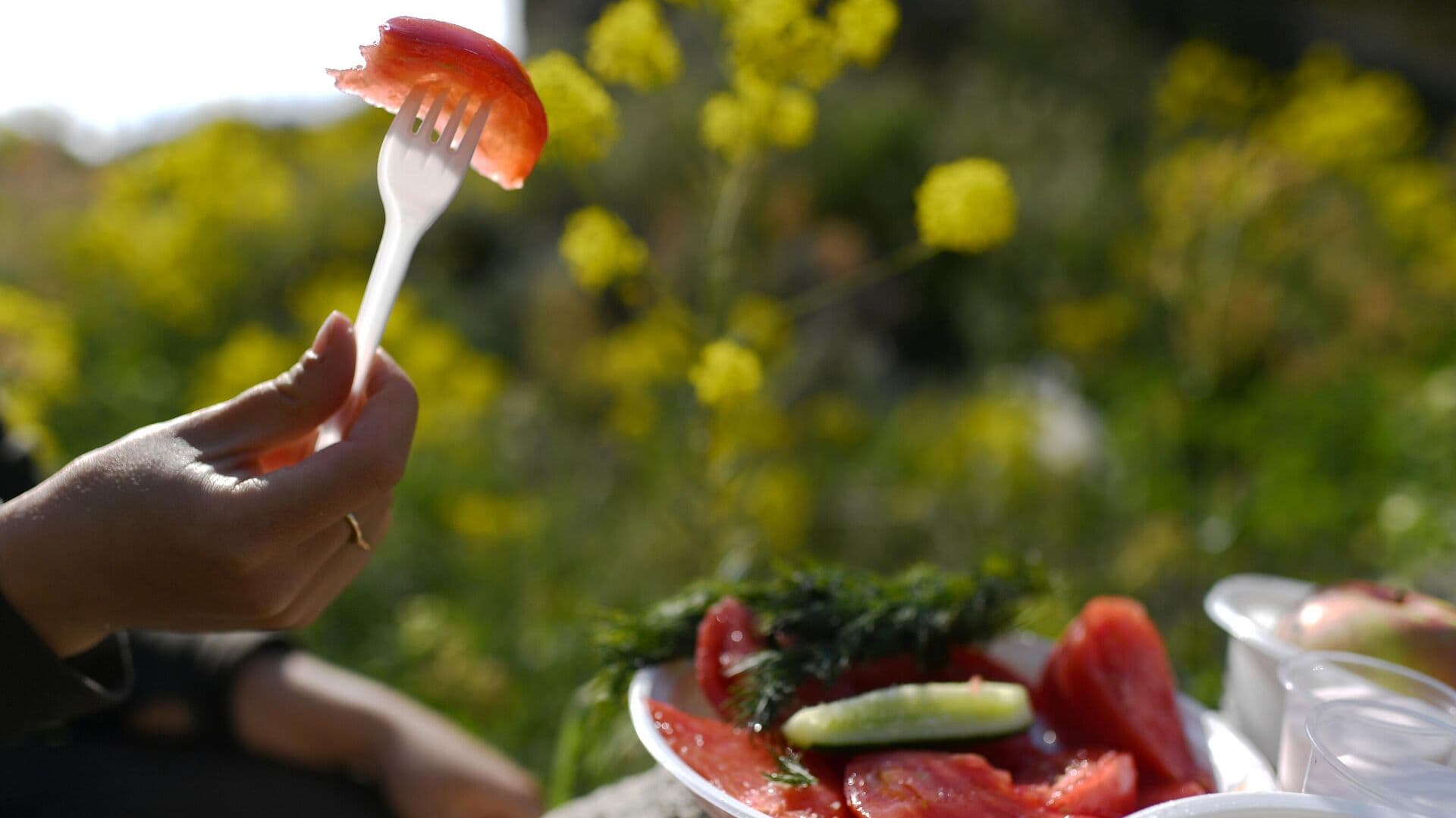 Врач назвала продукты, которые опасно брать на пикник