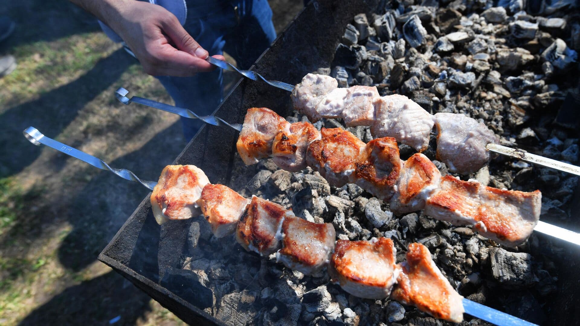 Роскачество рассказало, какой мангал выбрать для пикников