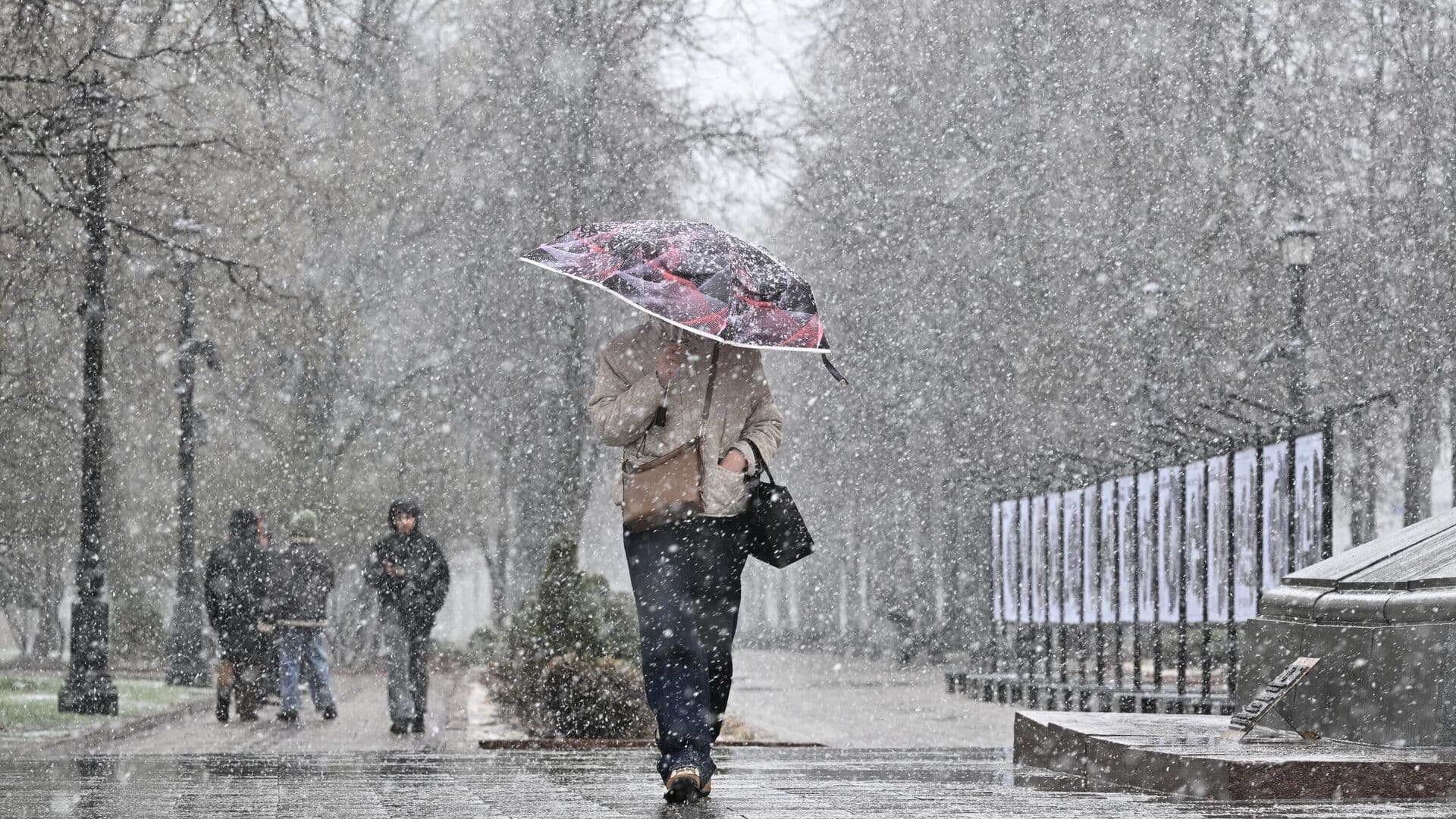В Москве начал формироваться снежный покров