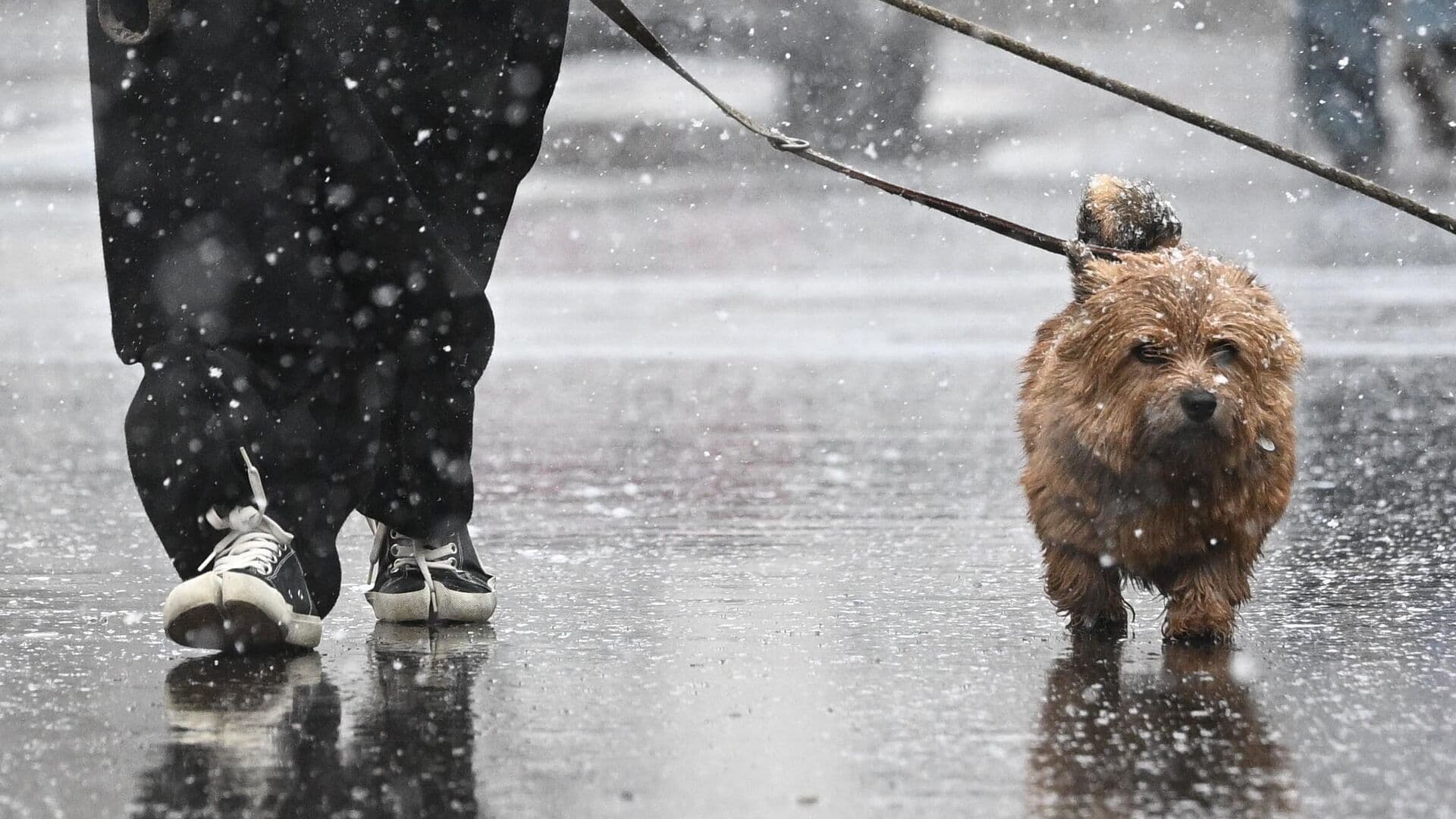 Синоптик рассказал о снеге в Москве в понедельник
