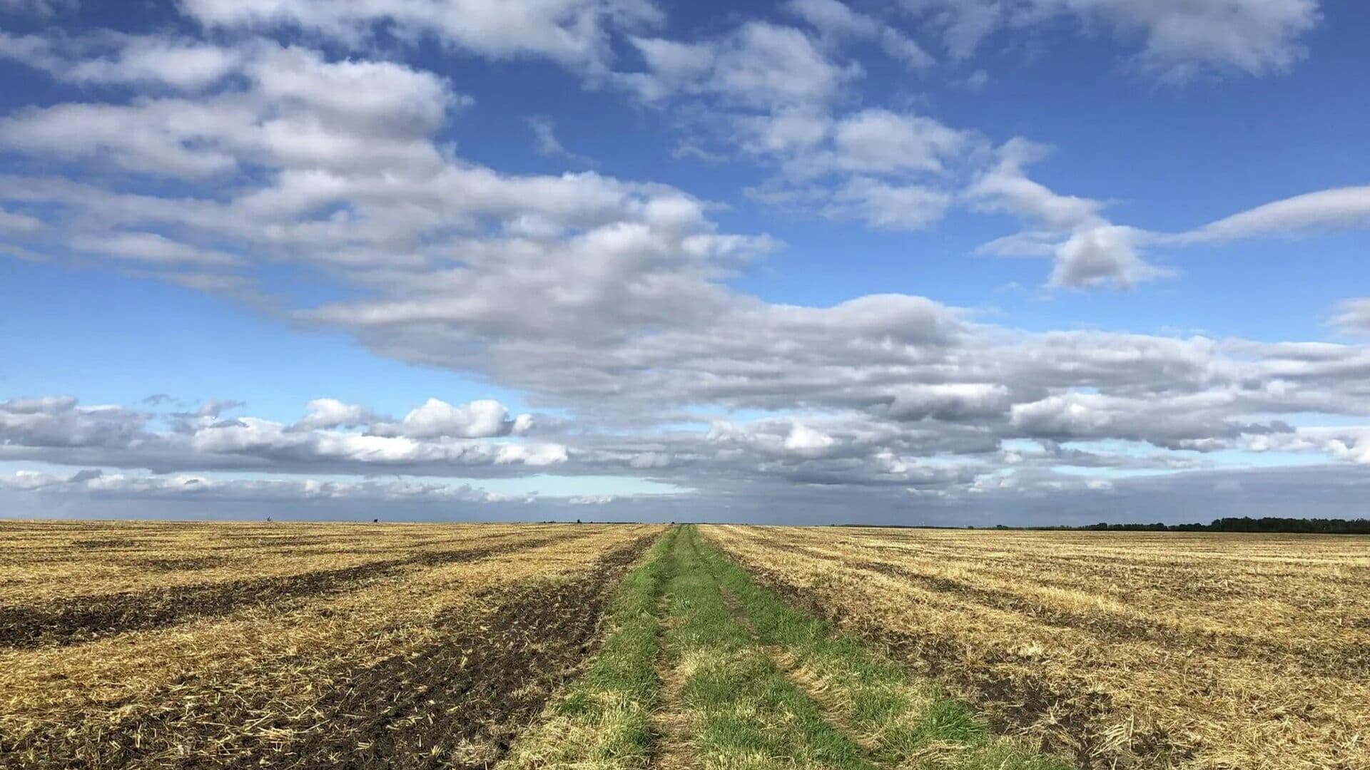 Ученые отметили важность изучения видового многообразия Русского Поля