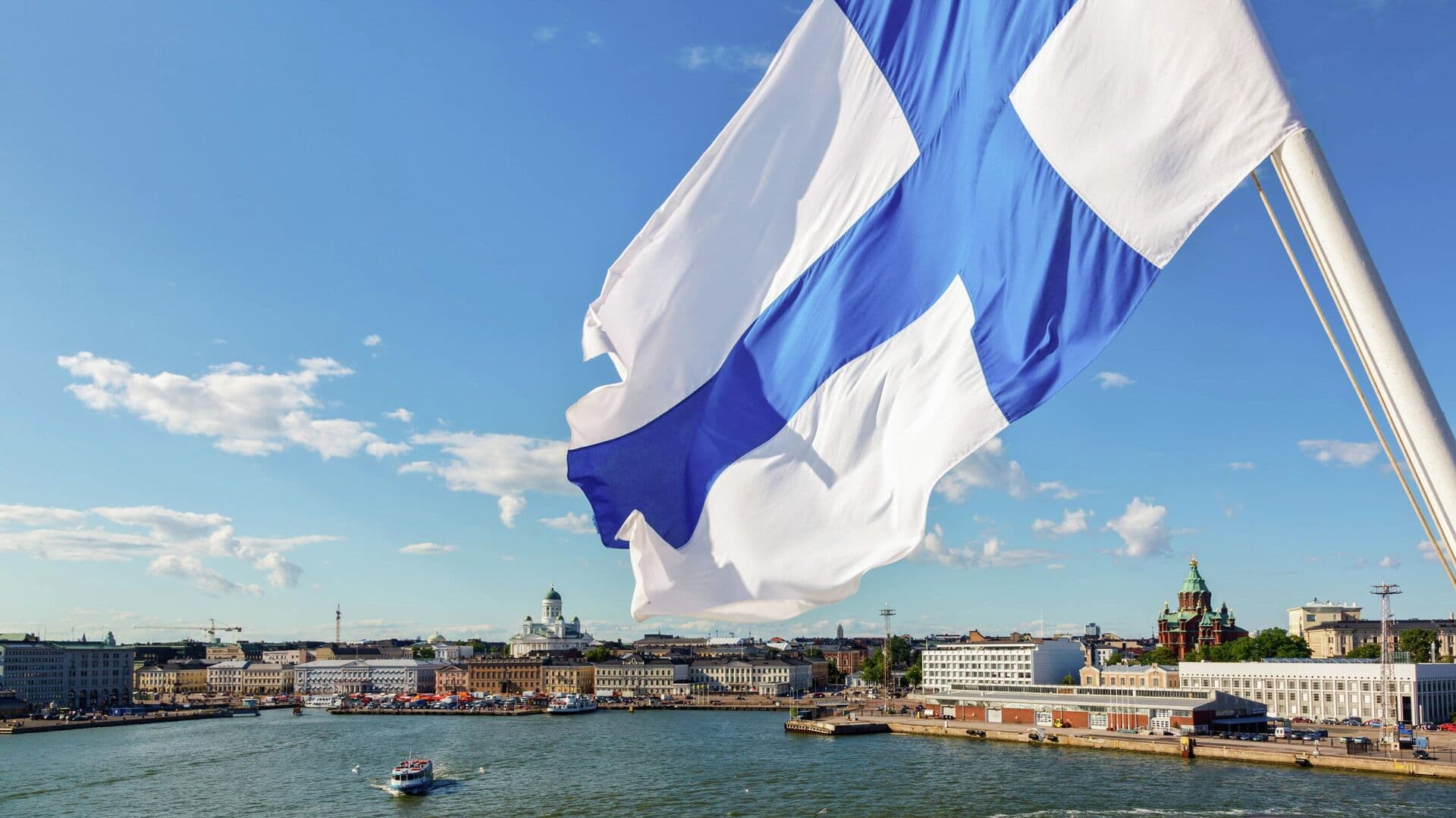 "Висит на деревьях": жителей Хельсинки напугало странное вещество