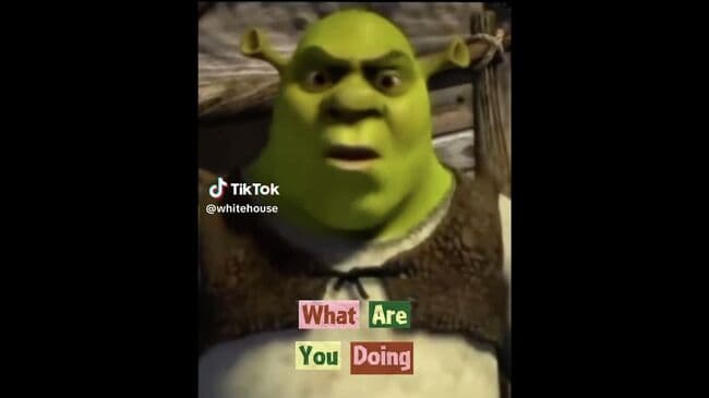 Белый дом включил в ролик про нелегалов момент из "Шрека"