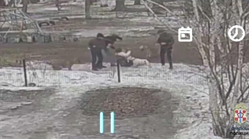 В Омске умерла женщина, на которую натравили бойцового пса