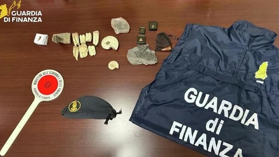 В Италии перехватили незаконные посылки с когтем динозавра и аммонитами